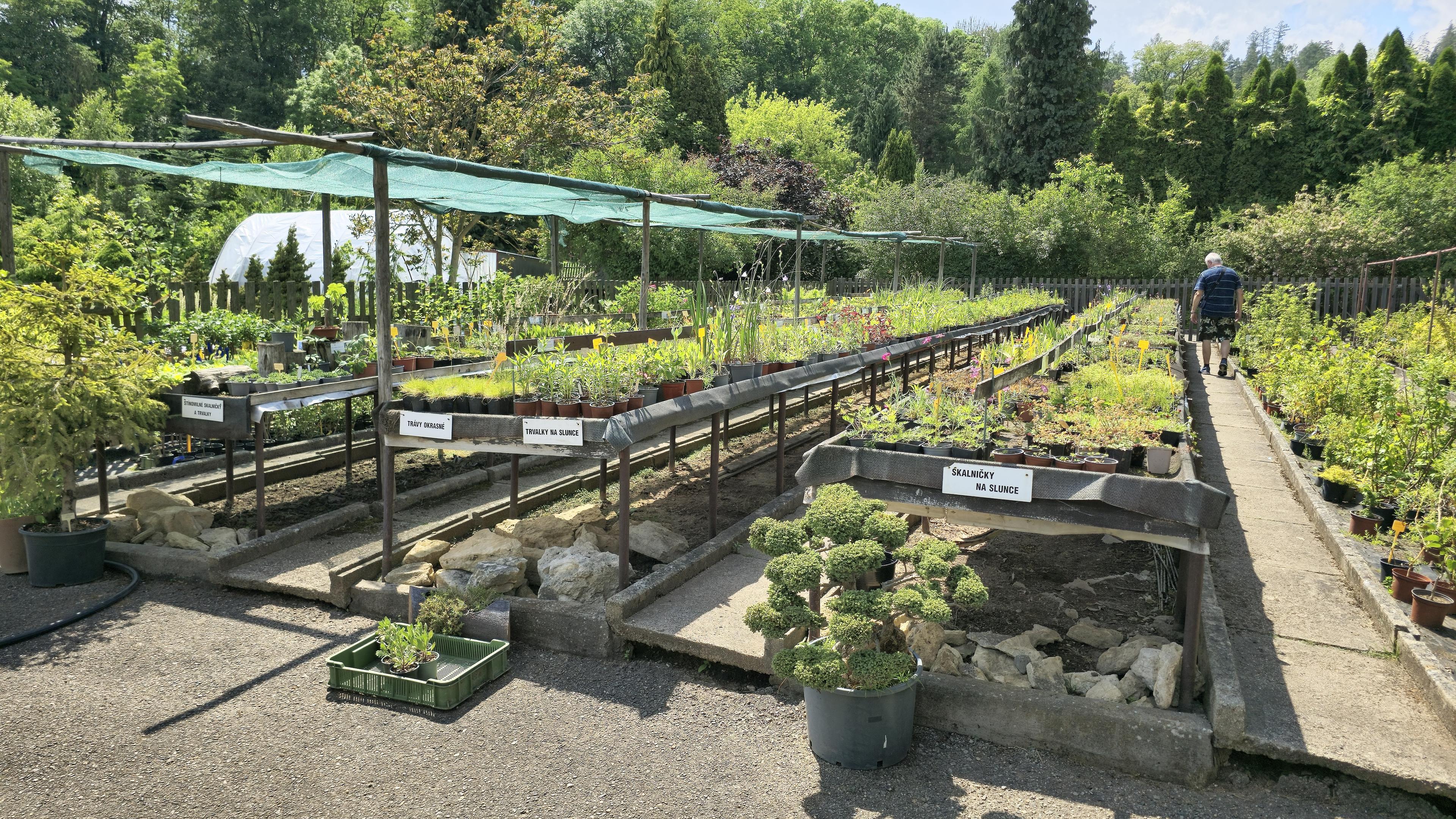 Zahradnictví SAK František Chlup foto 2