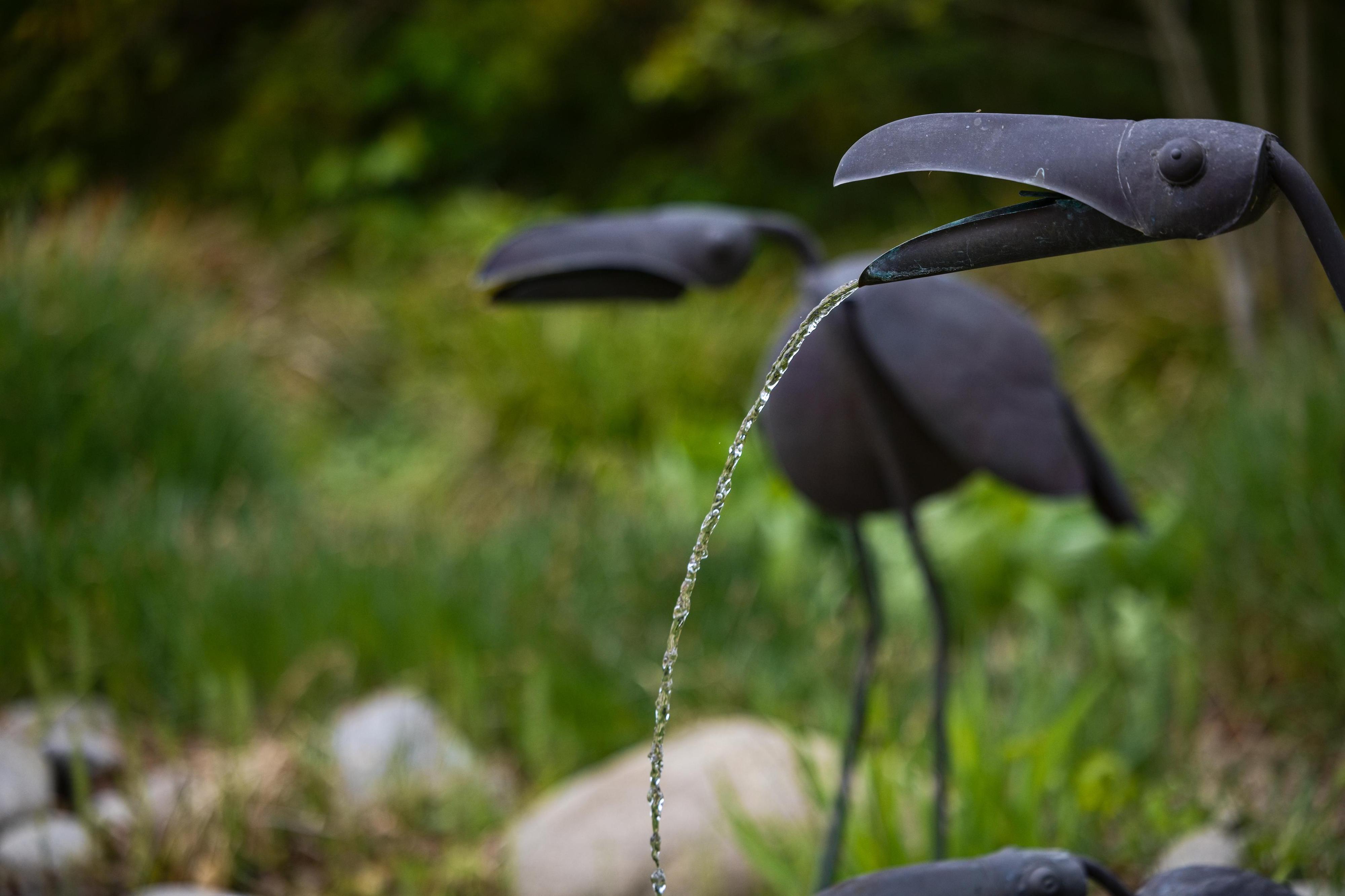 Zoo a zámek Zlín - Lešná foto 5