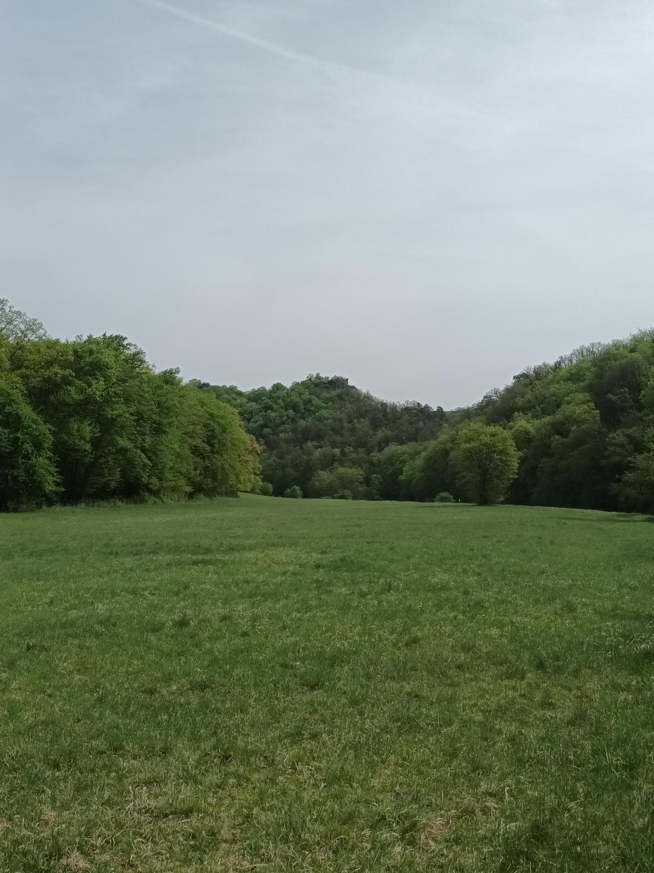 Zřícenina hradu Nový Hrádek u Lukova foto 6