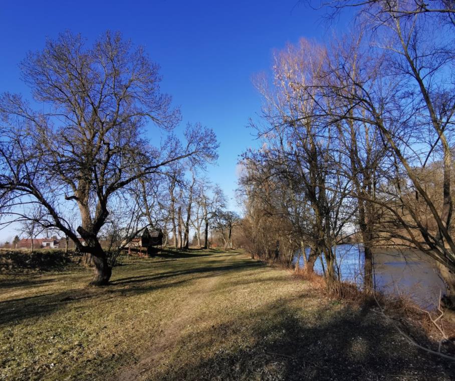Půjčovna lodí a paddleboardů Rohatec foto 6
