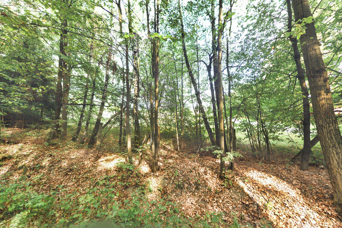 Českomoravská myslivecká jednota, z.s., okresní myslivecký spolek Rychnov nad Kněžnou