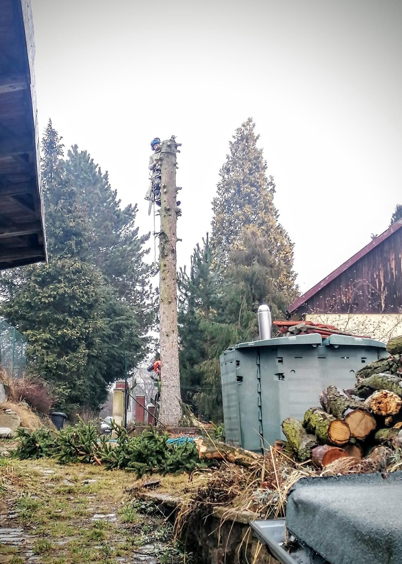 Rizikové kácení stromů - Jiří Mikolášek foto 2