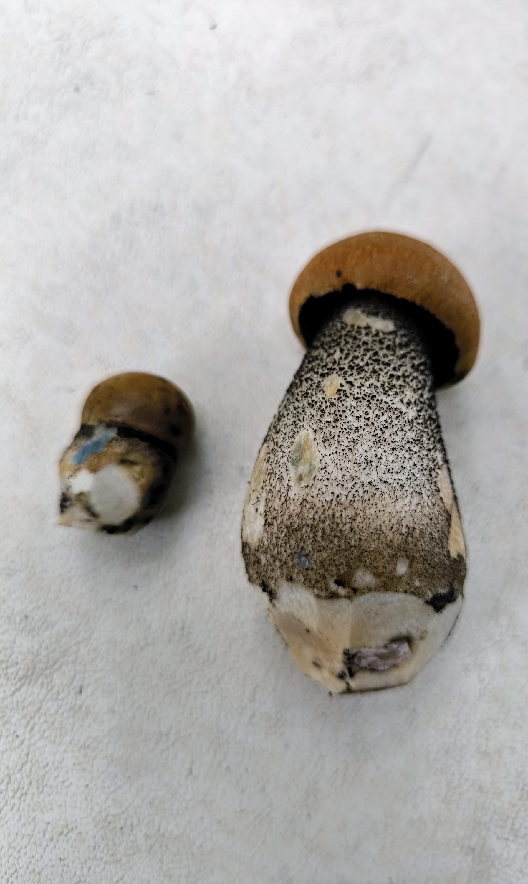 Chaty Kašperské Hory foto 3