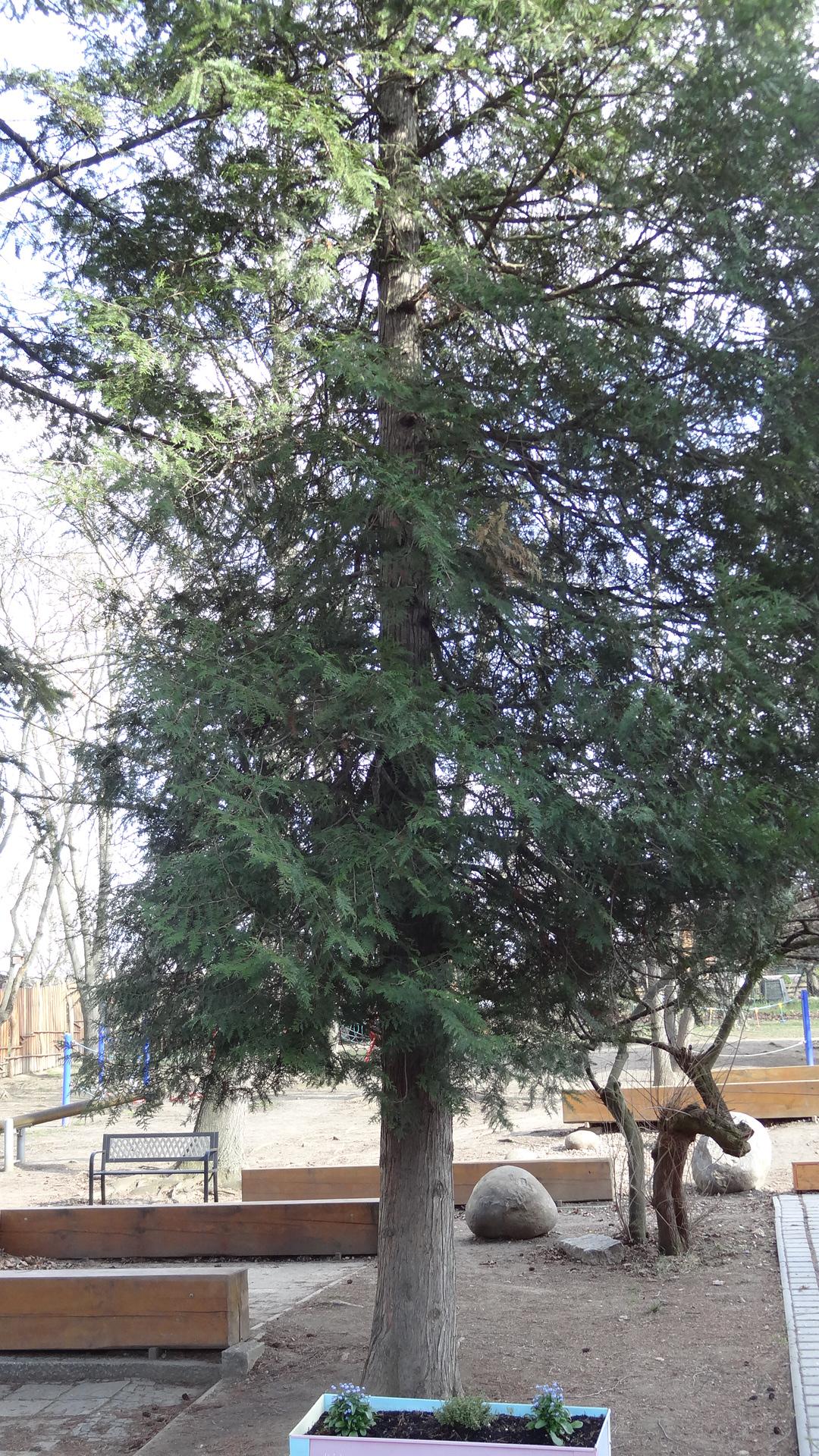 Mateřská škola, Brno, Kneslova 7 foto 6