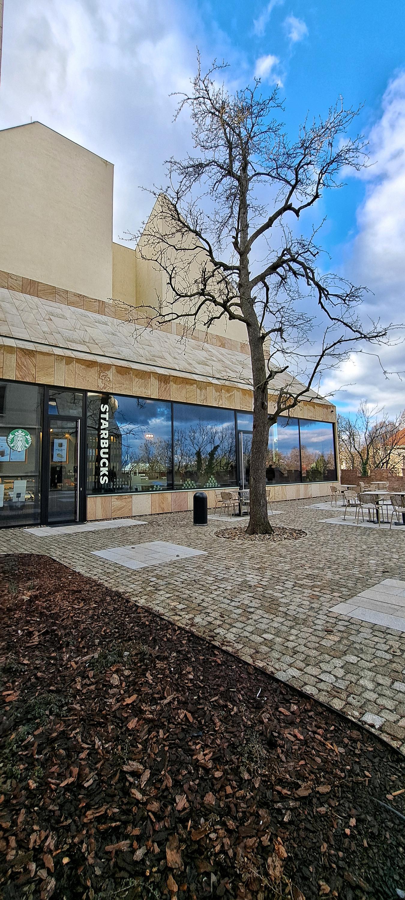Starbucks Coffee foto 2