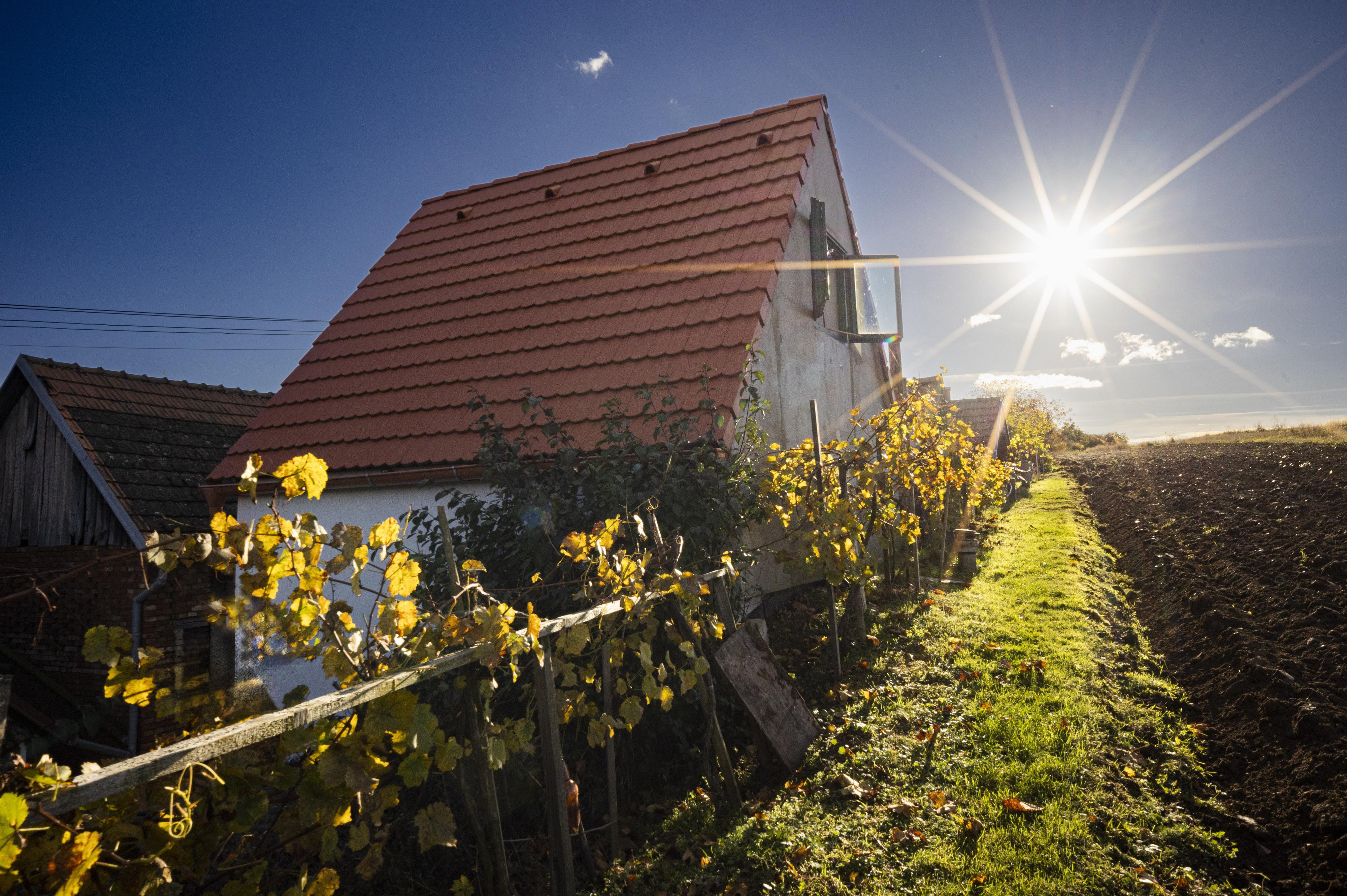 Sklípek Na Císařské
