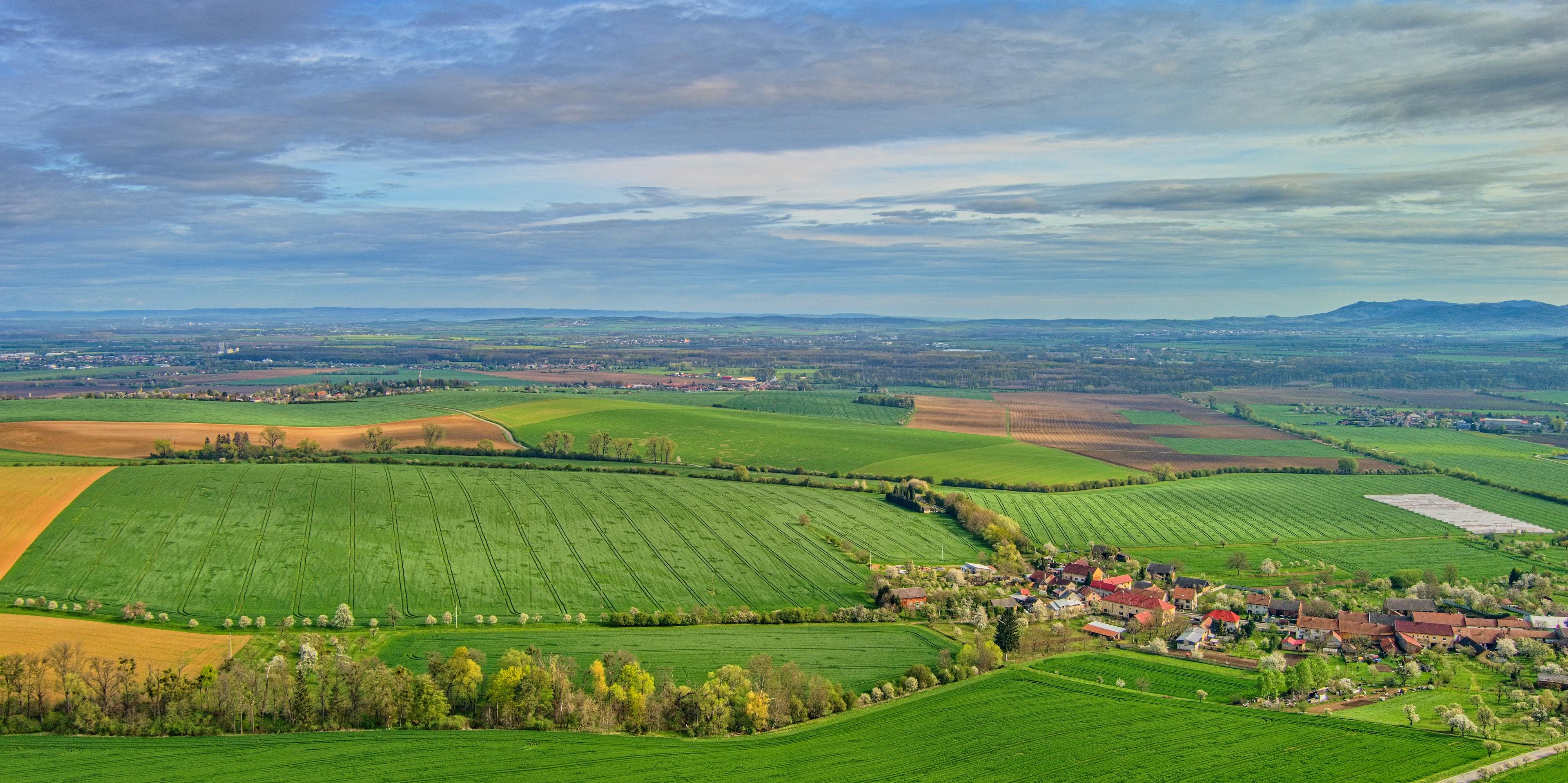 Bařice - Velké Těšany - obecní úřad foto 5
