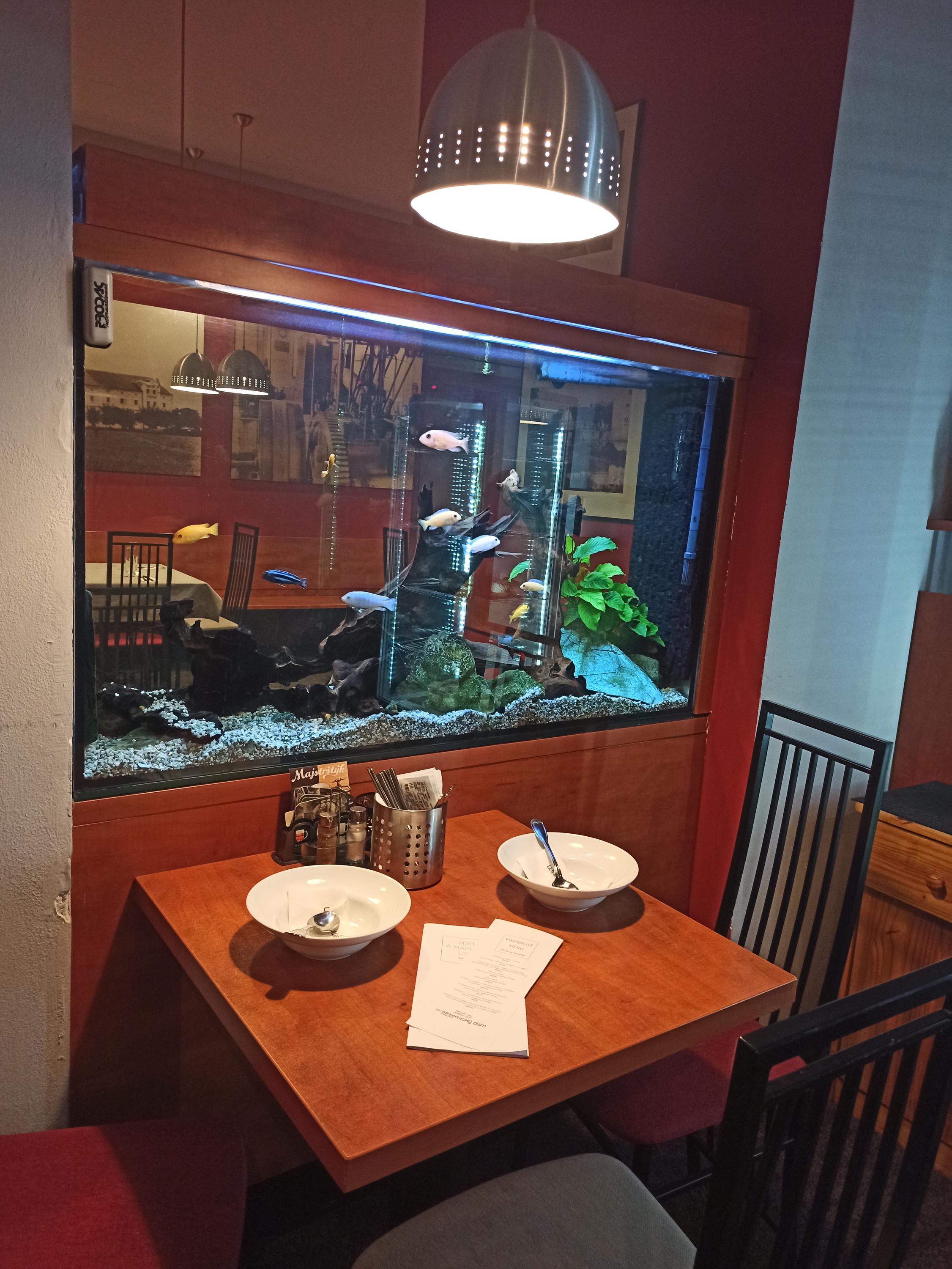 Restaurace Sezemický dům foto 5