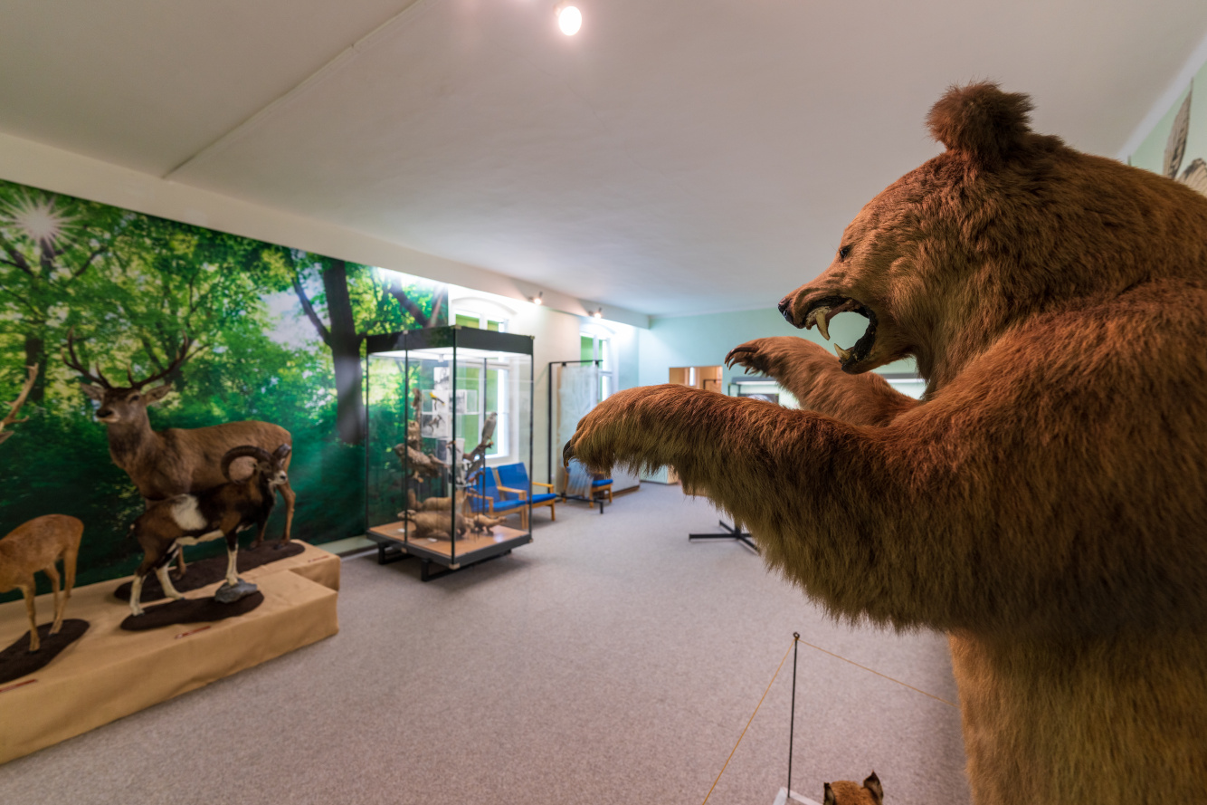 Blatské muzeum Rožmberský dům