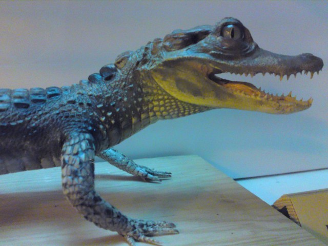 Zoologická zahrada Ústí nad Labem foto 4