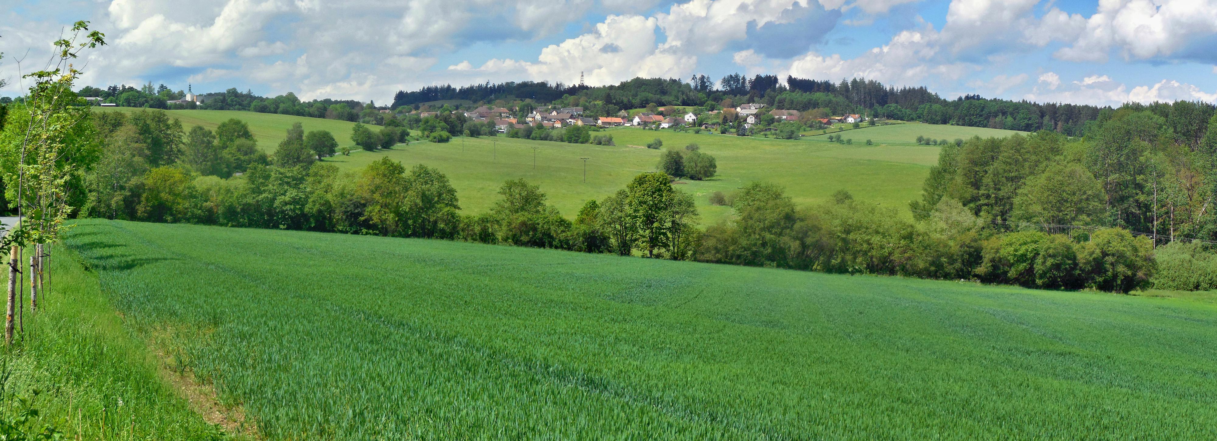 Oselce - obecní úřad foto 5