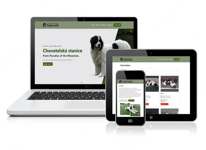 Elegant web foto 4