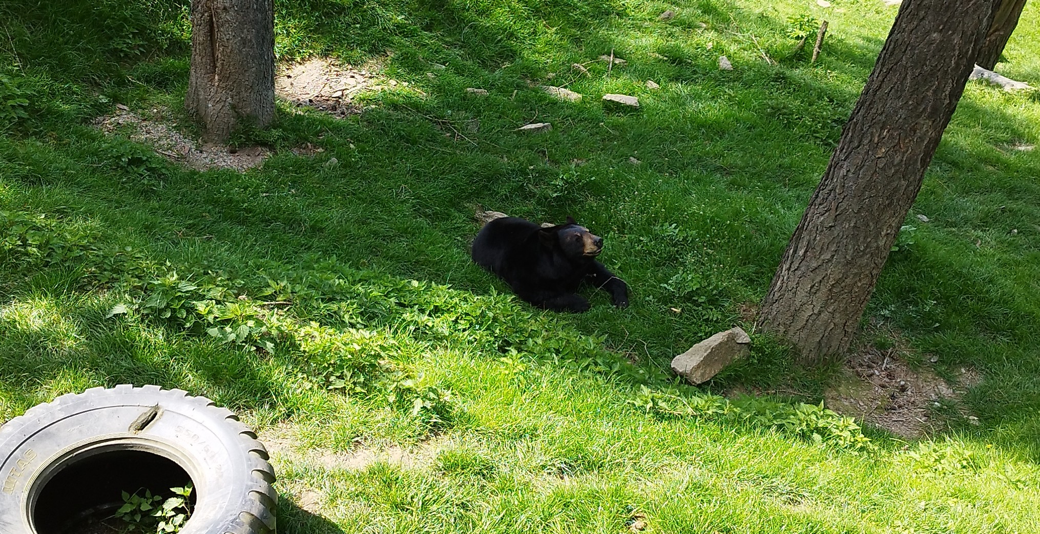 ZOOOLOMOUC foto 5