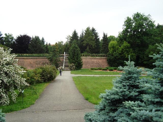 Botanická zahrada a Zahrada smyslů foto 3