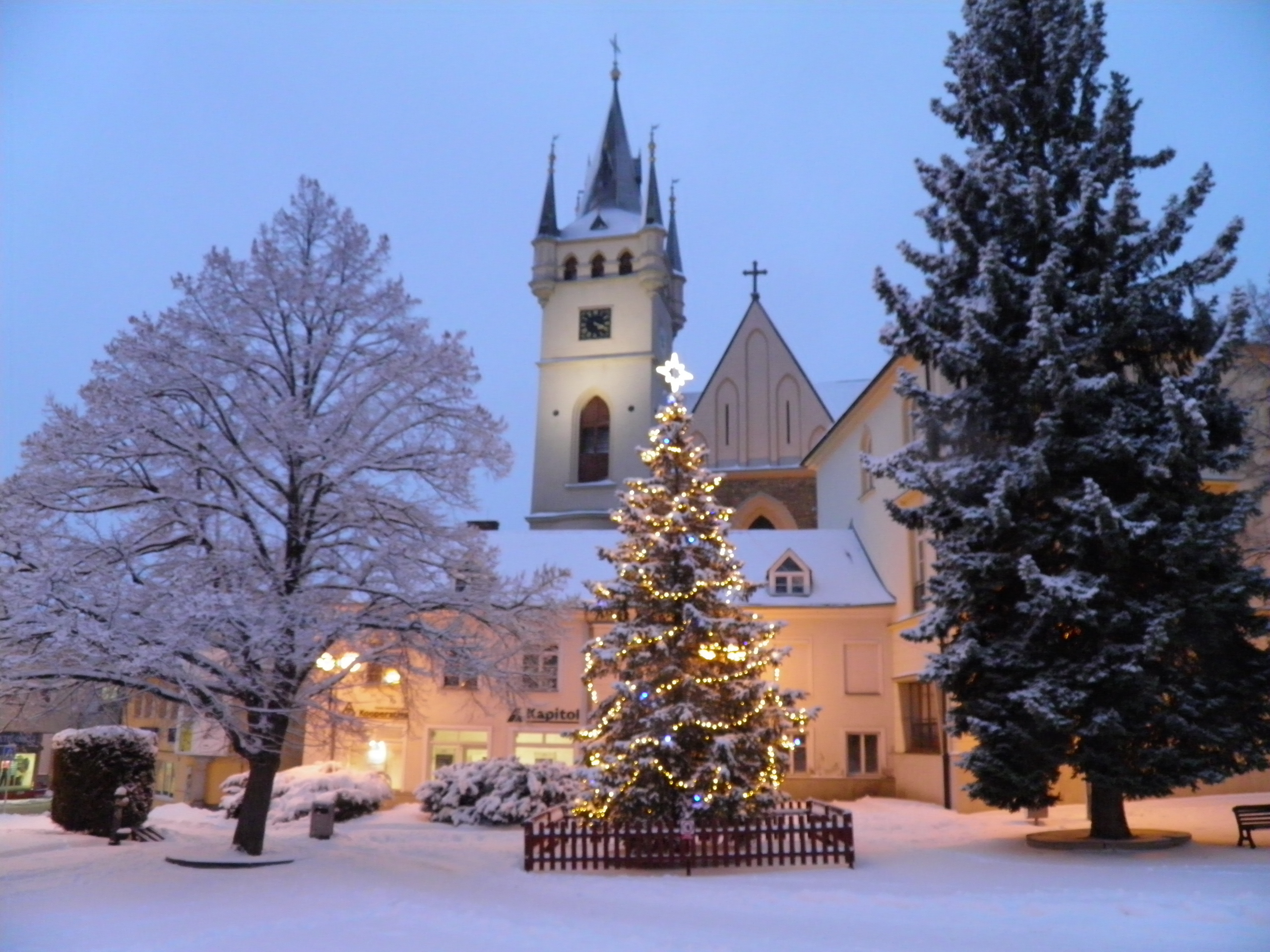 Muzeum dr. Aleše Hrdličky foto 3