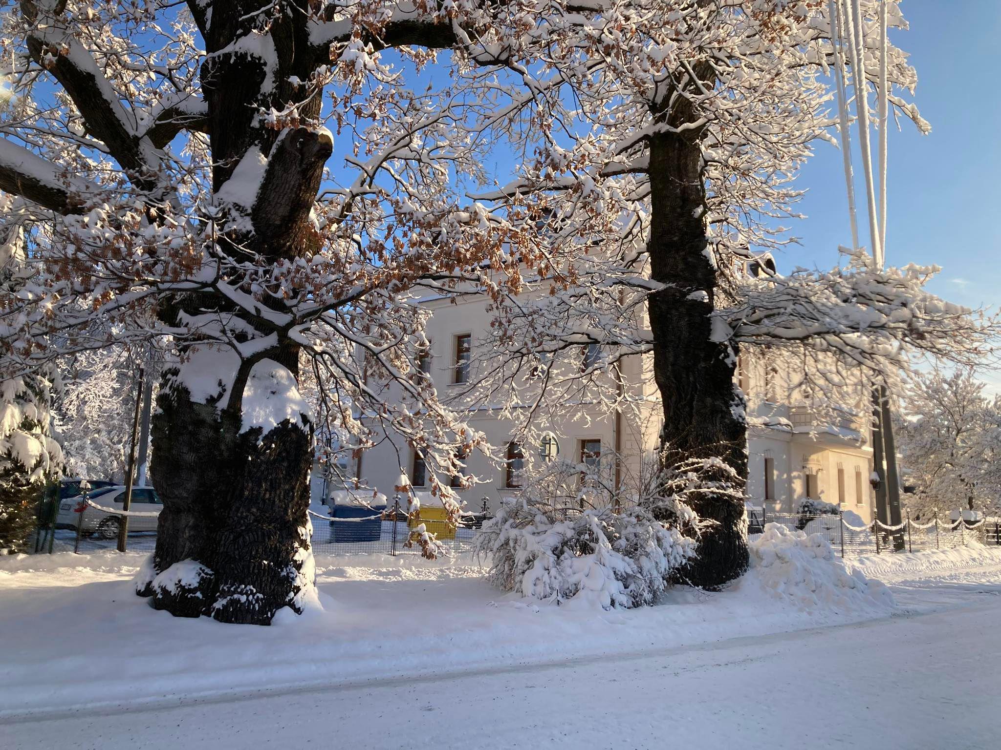 Adámkova vila, Domov se zvláštním režimem, z. ú. foto 2