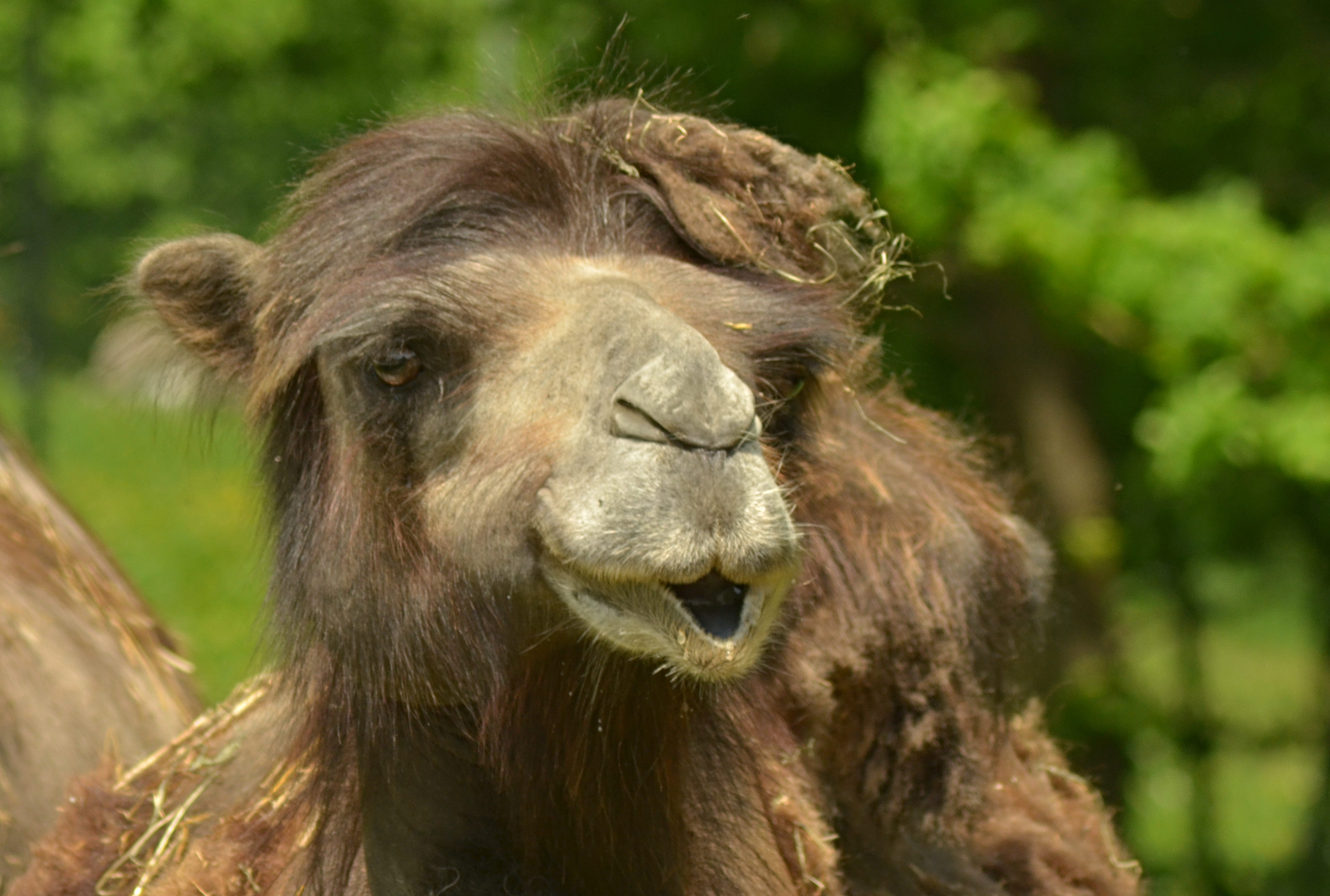 Zoologická zahrada Na Hrádečku foto 5