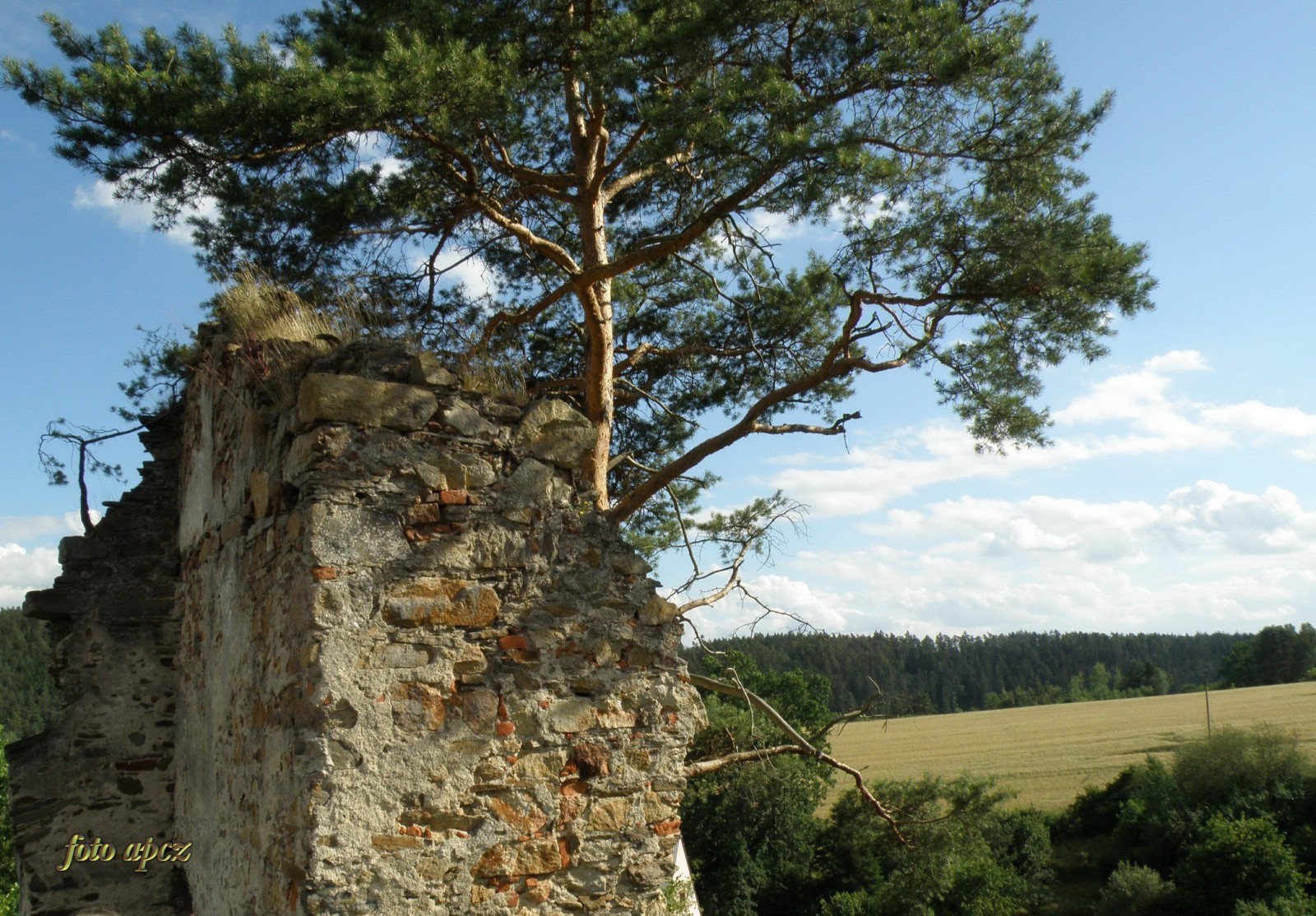 Zřícenina hradu Dobronice u Bechyně foto 4