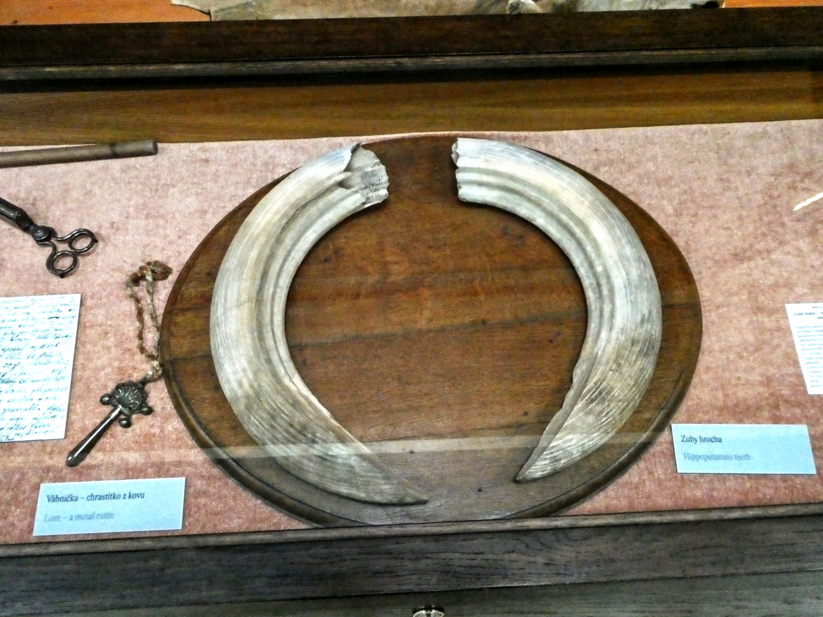 Africké muzeum Dr. Emila Holuba foto 5