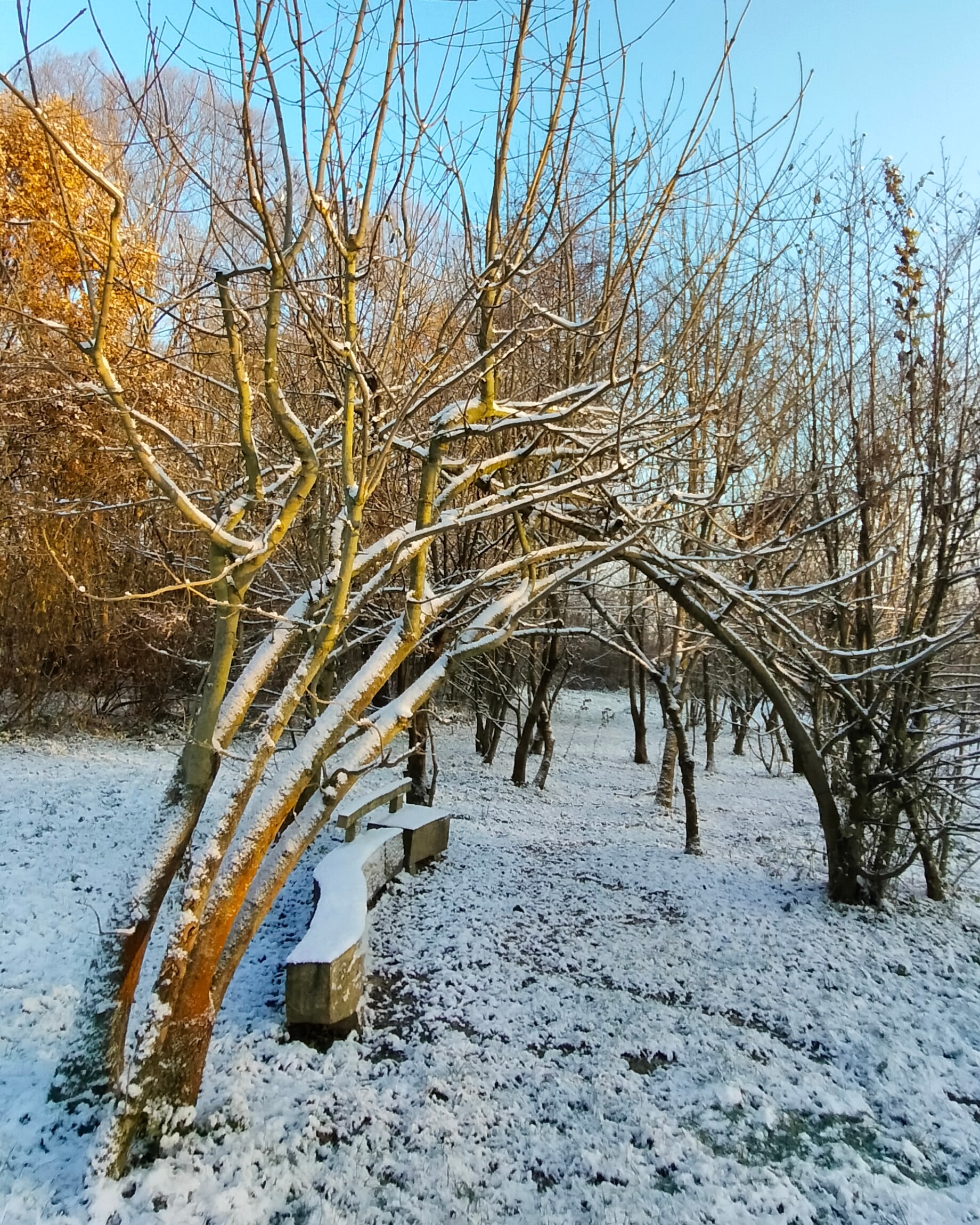 Dům přírody Litovelského Pomoraví foto 6
