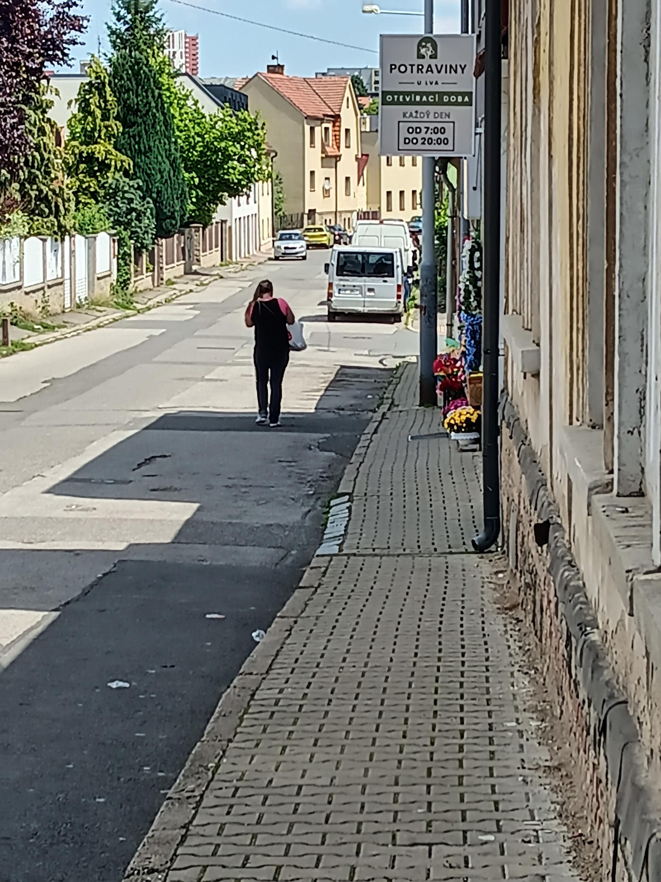 Potraviny U lva foto 2