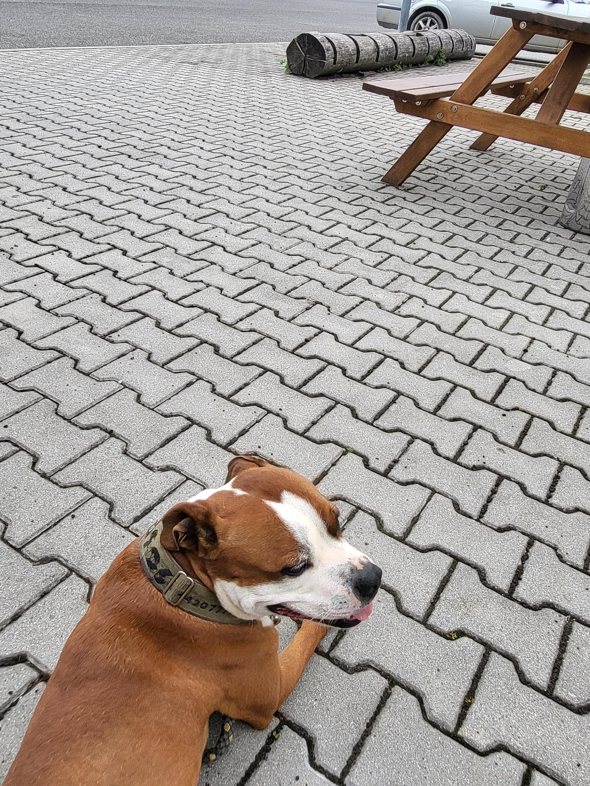 Čerpací stanice OLVAN foto 5