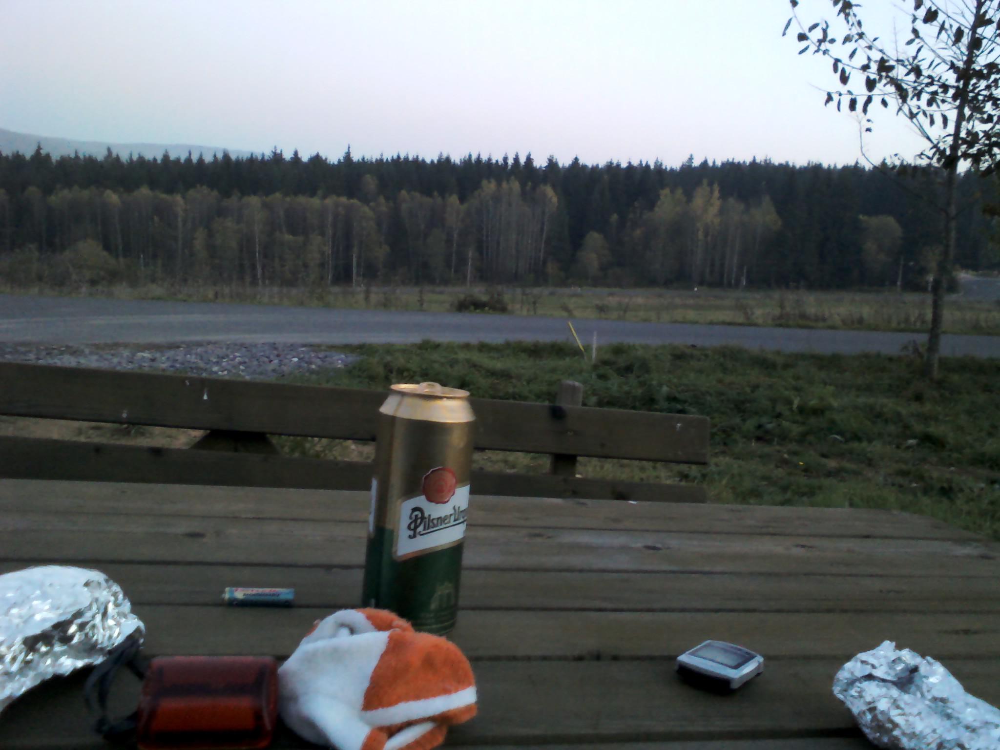 Zvonilka foto 6