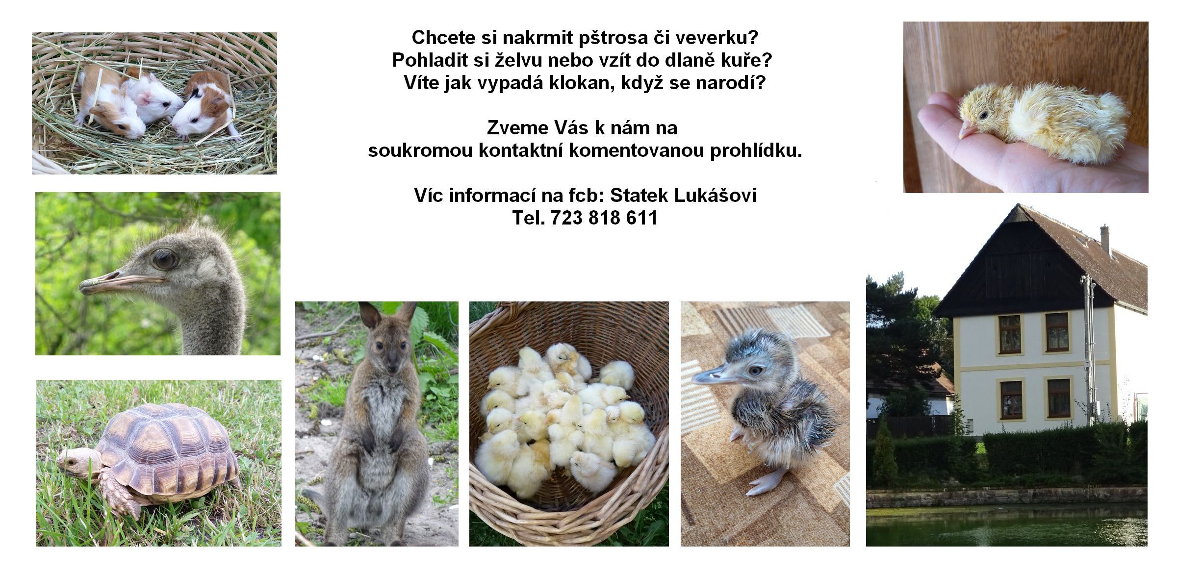 Statek Lukášovi foto 3