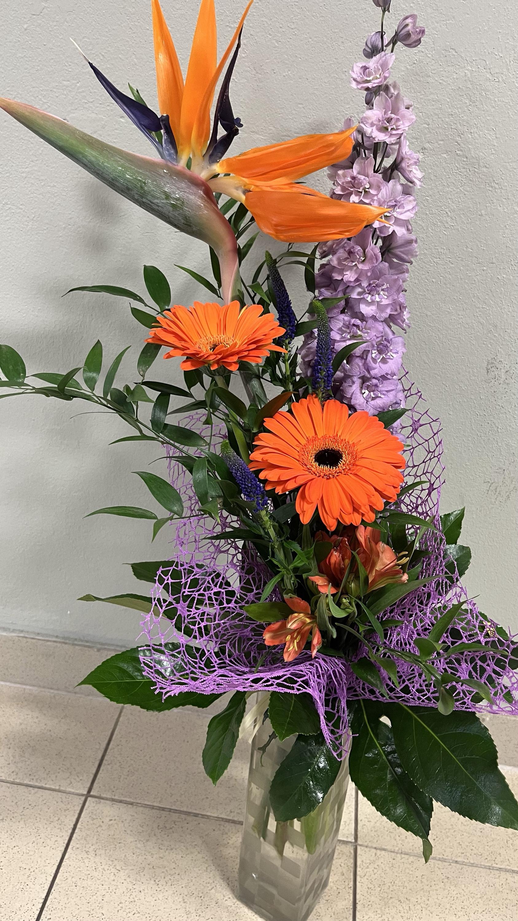 Květiny Chrpa foto 4