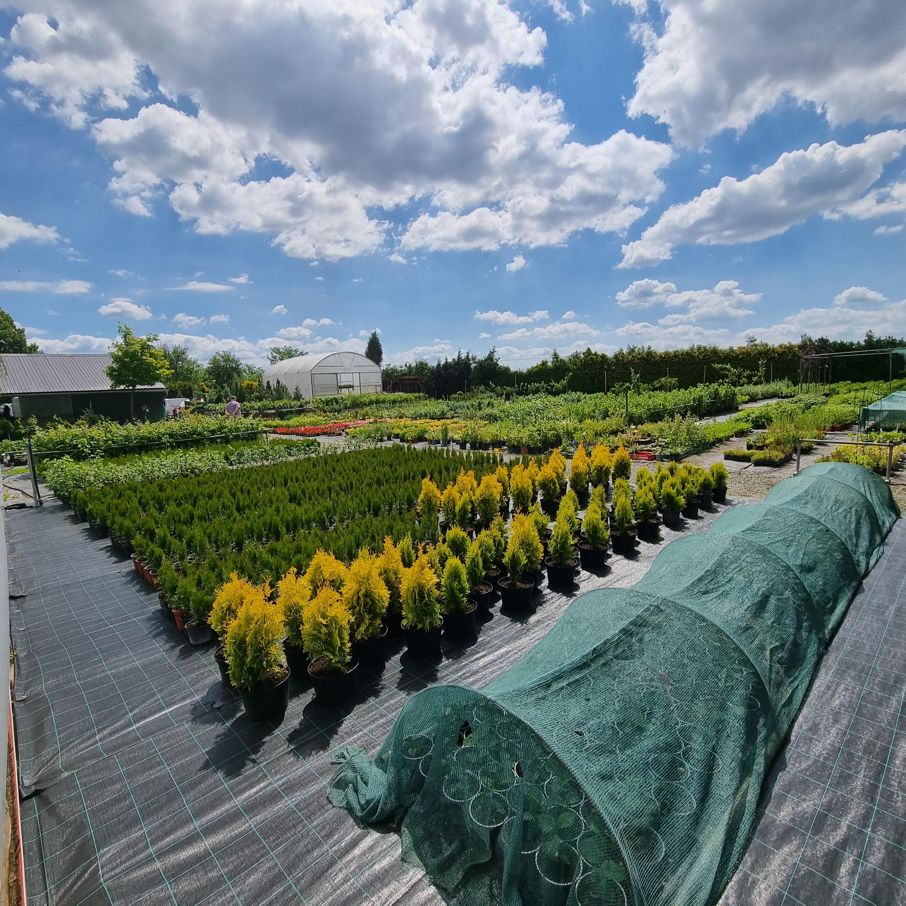 Zahradnictví Zmeškalovi foto 3