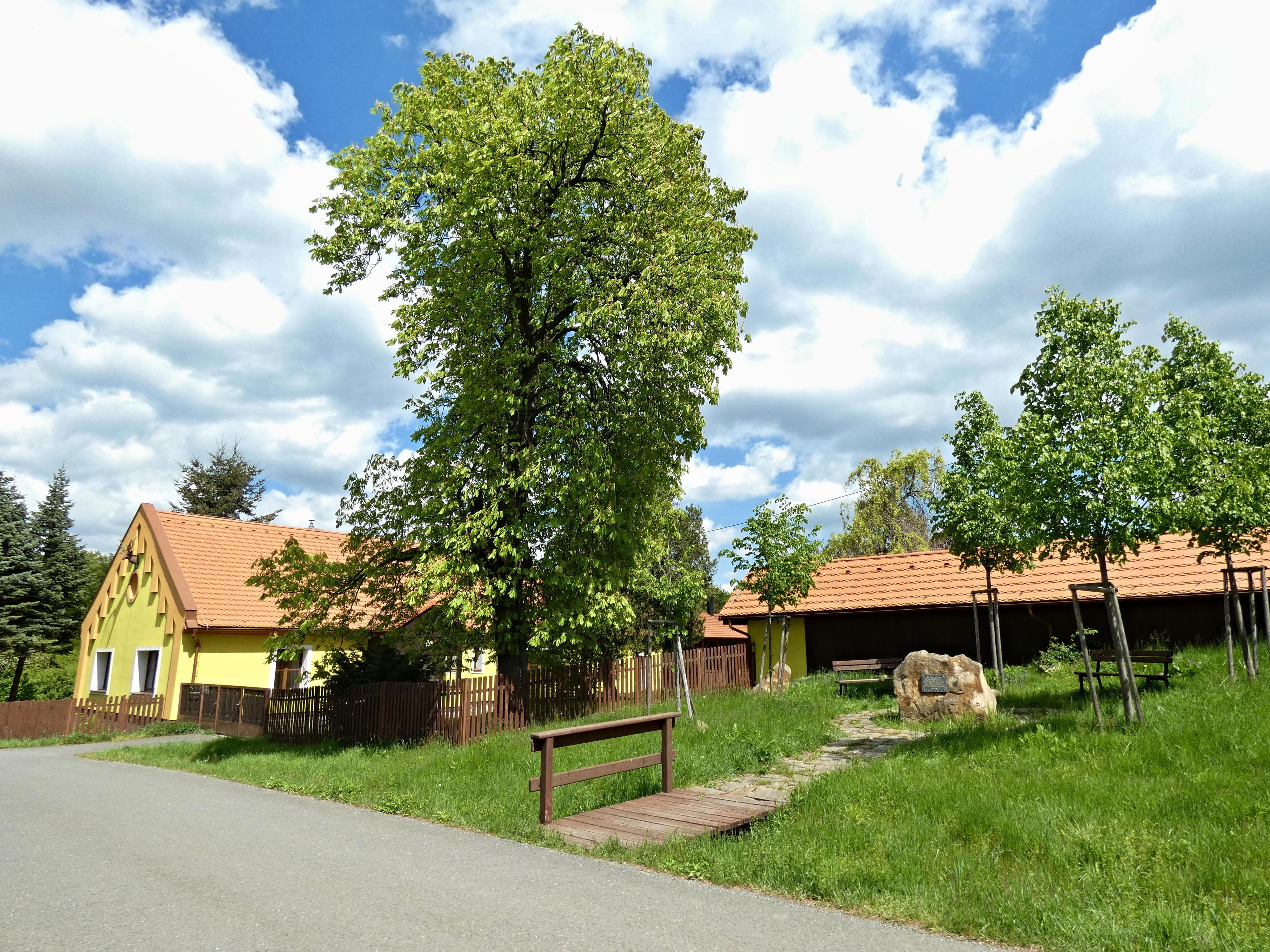 Muzeum lesnictví a myslivosti foto 4