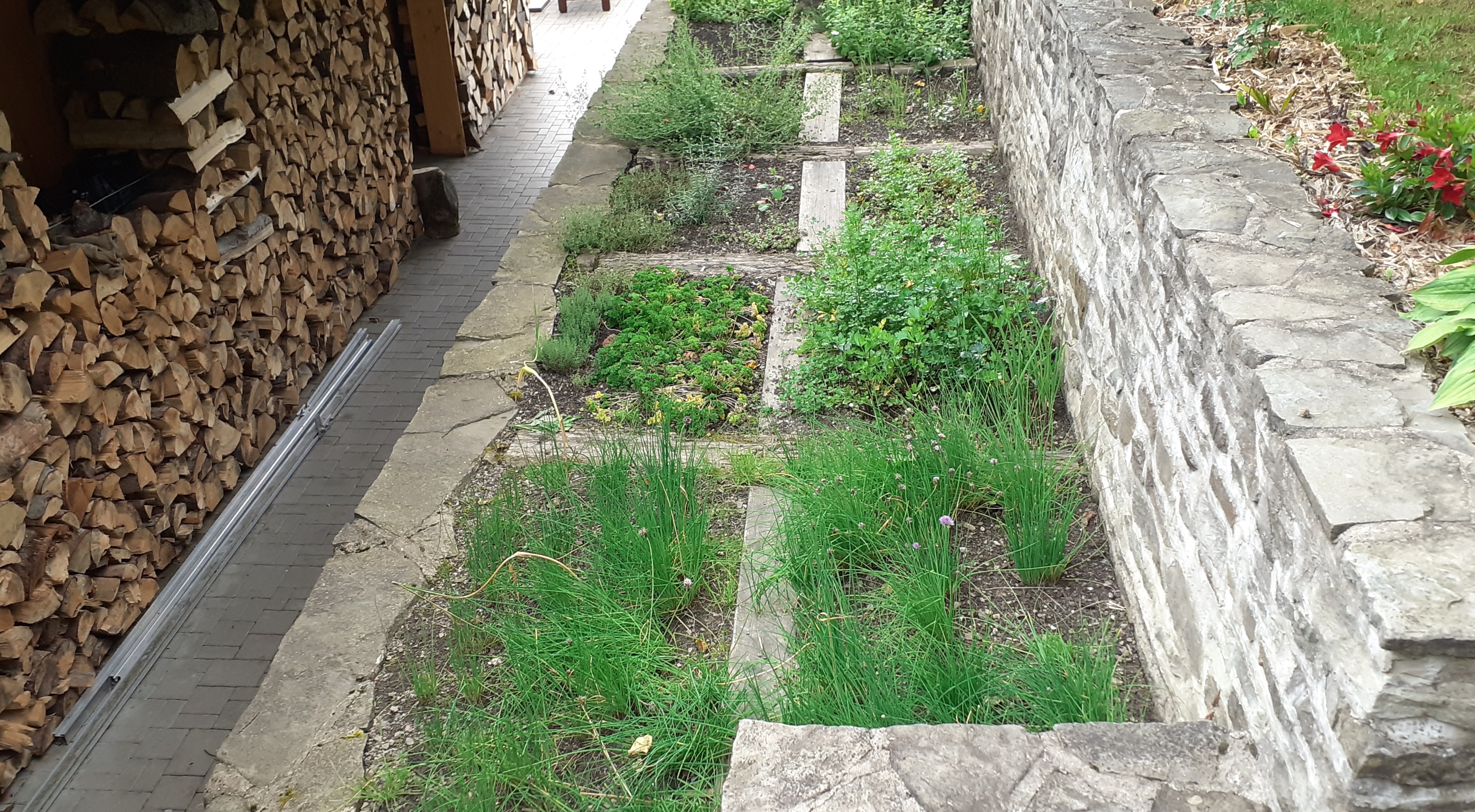 Karlovský minipivovar Pod Pralesem foto 4