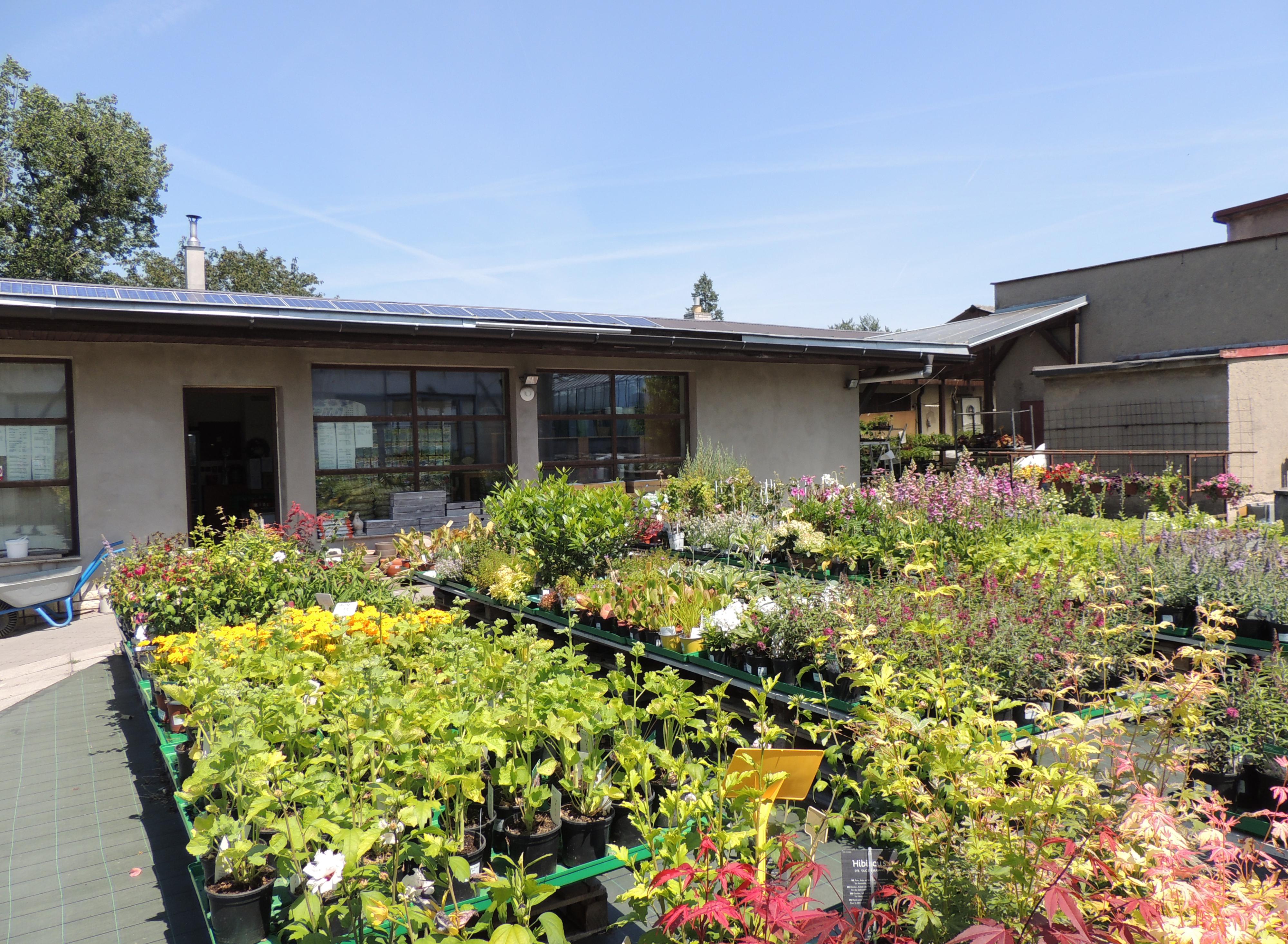 TALAŠOVO ZAHRADNICTVÍ s.r.o.