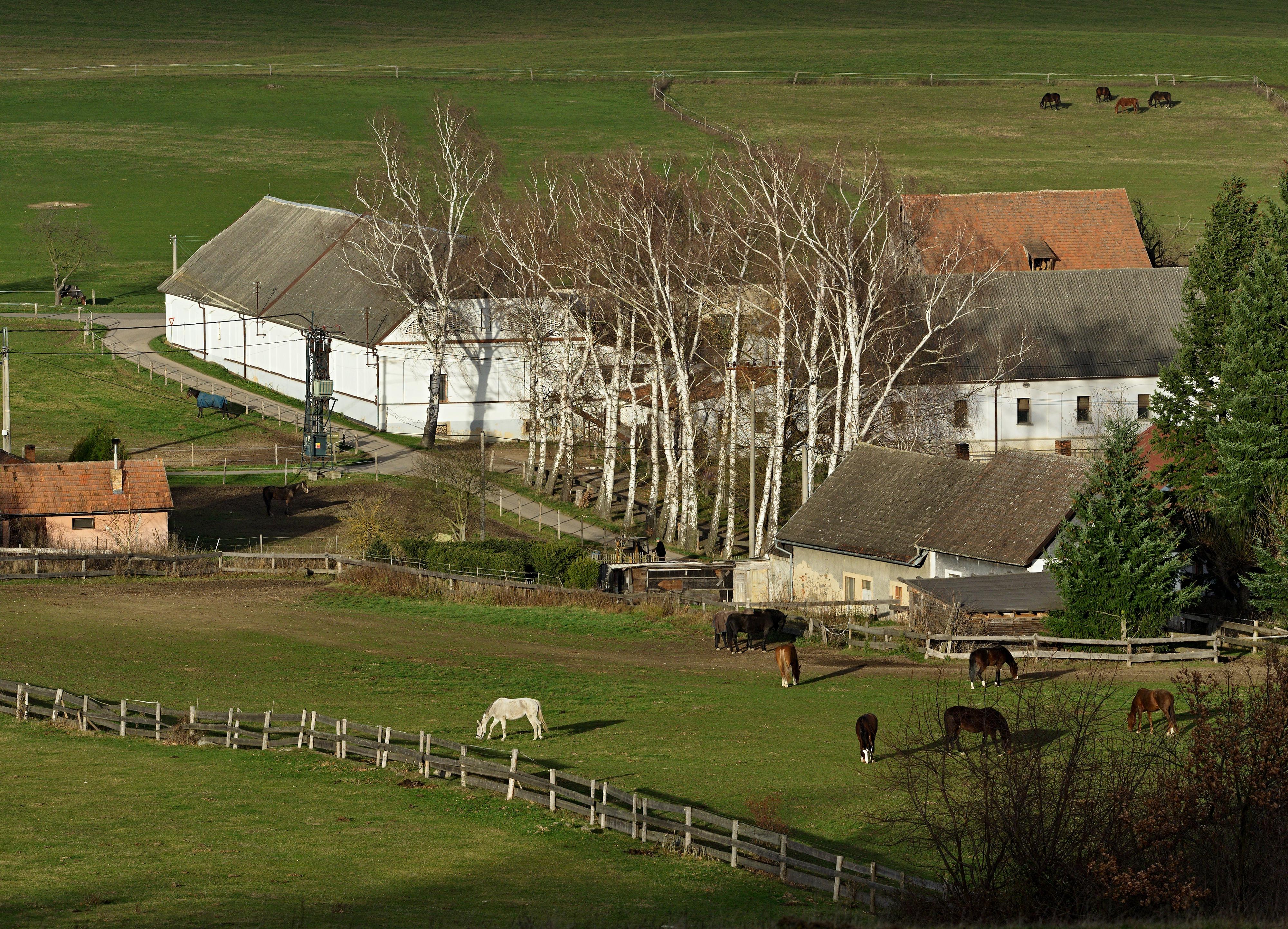 Areál Barochov - ustájení koní foto 6