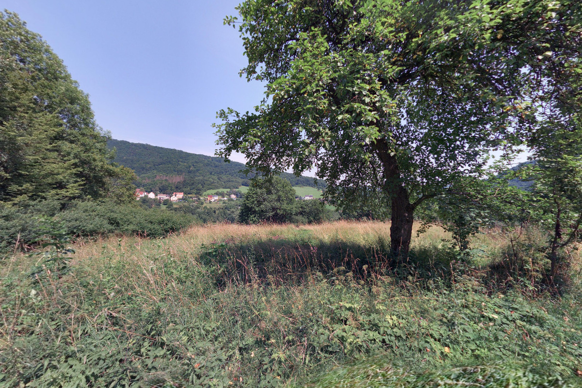 Bc. Tomáš Formánek - Praktik Rekonektivního léčení