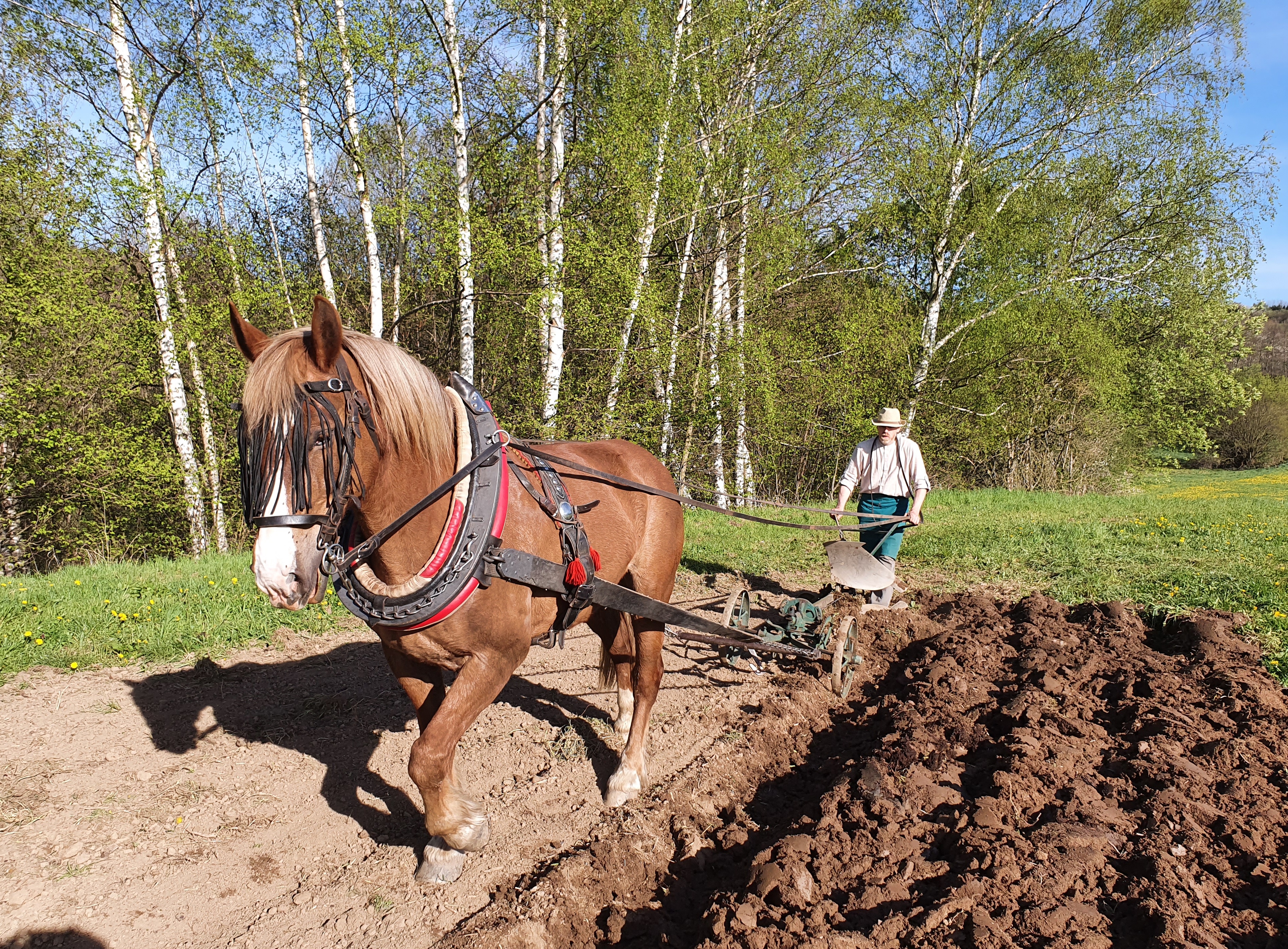 Myslivna Veletín - Drábův dvůr foto 2