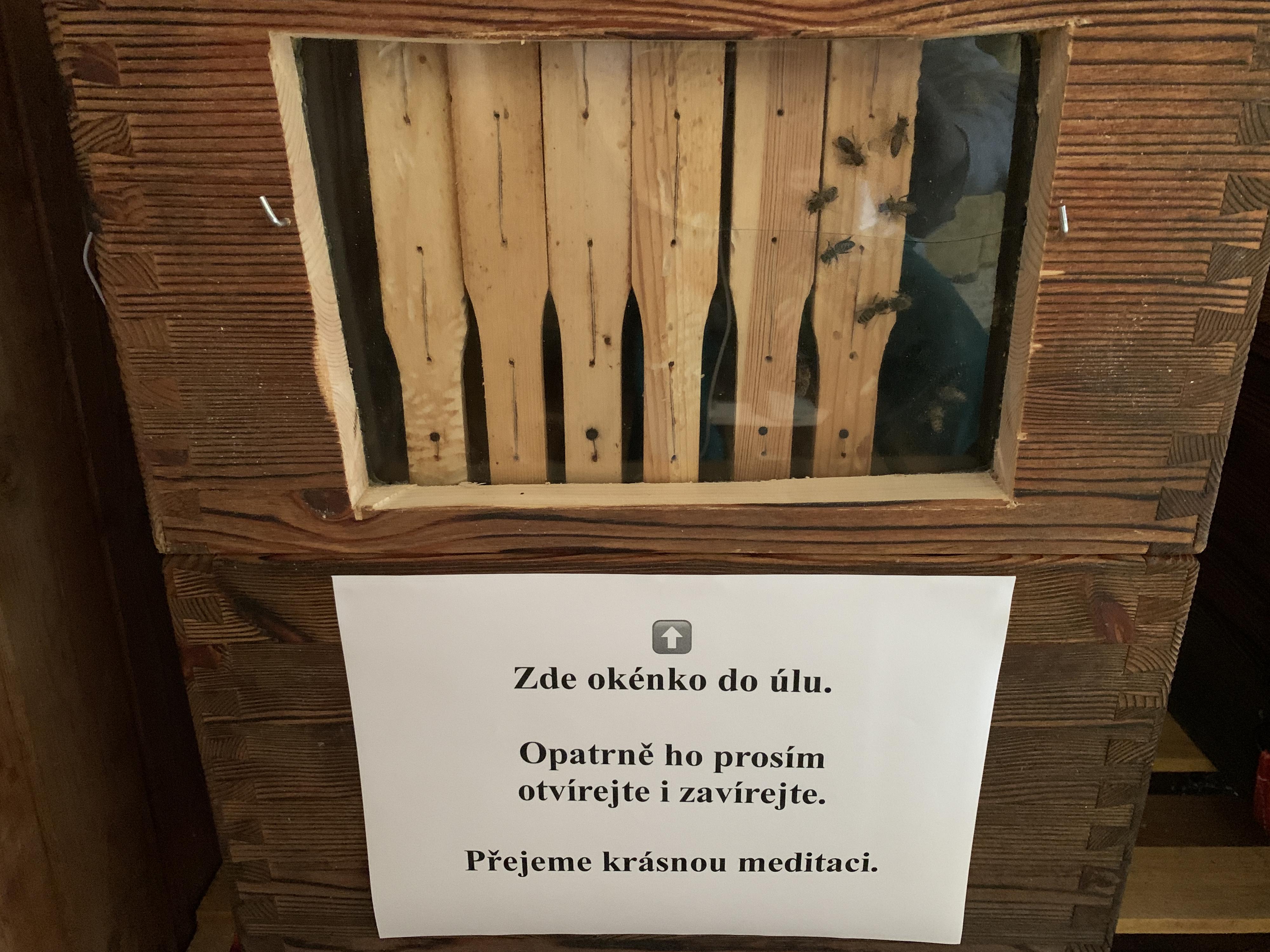 Lesanka - Lesní meditační ústraní foto 6