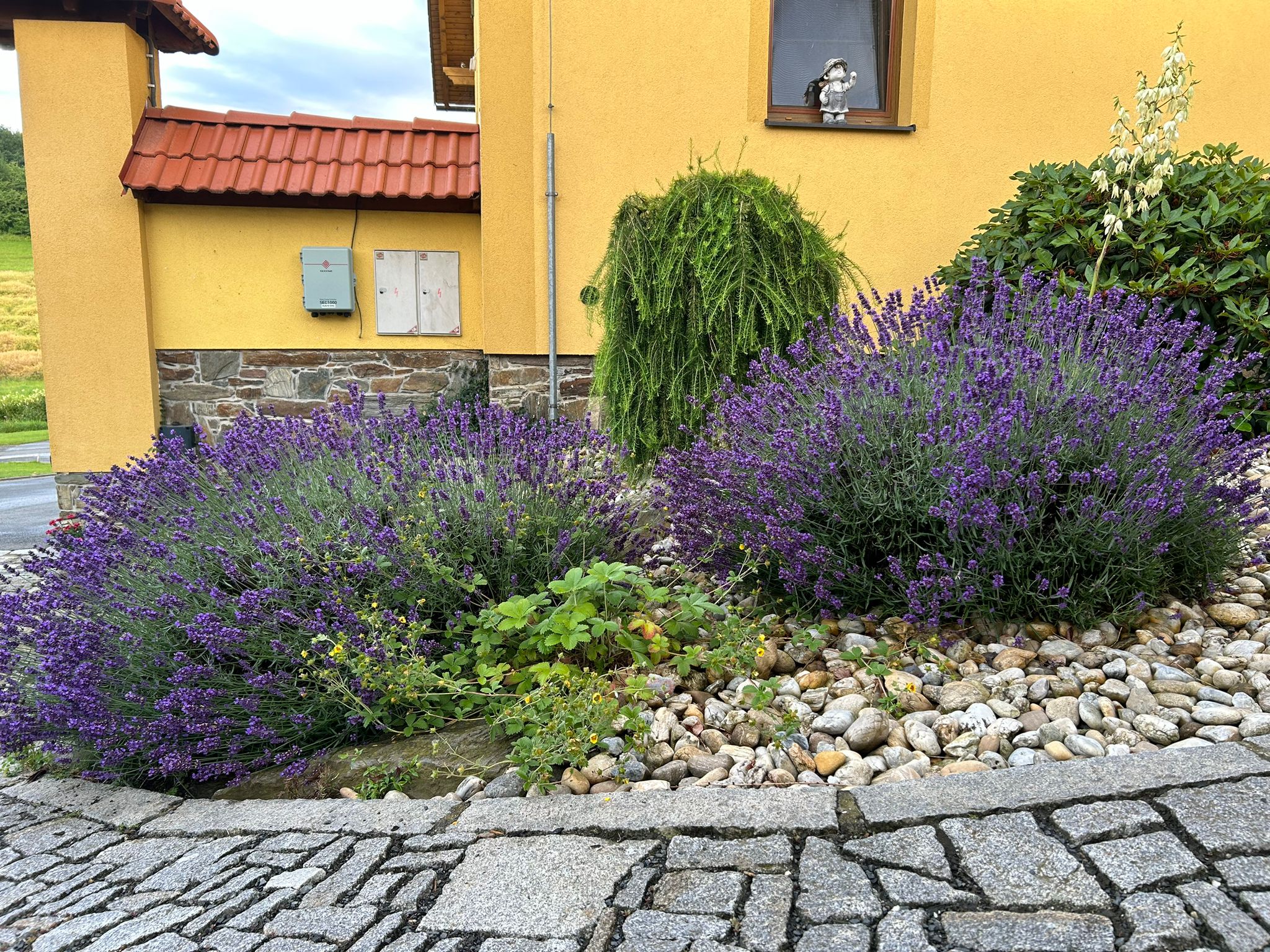 Restaurace Podveský mlýn foto 6