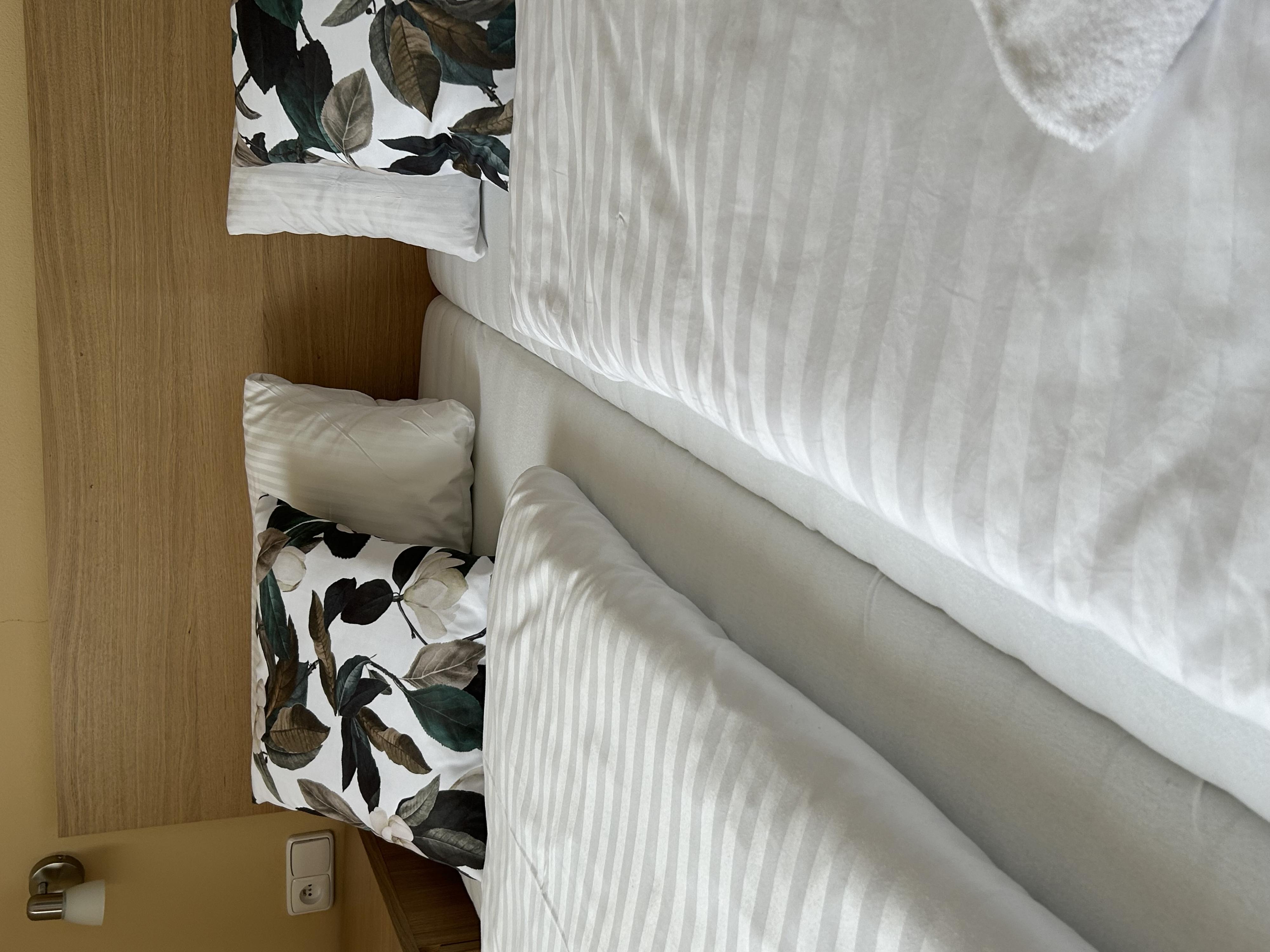 Pizzerie Jasany*** foto 3