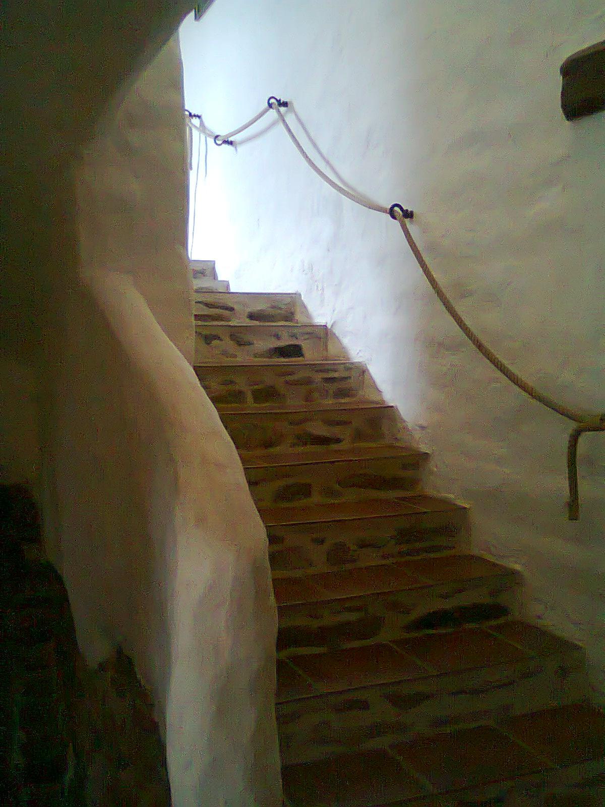 Opajda foto 6