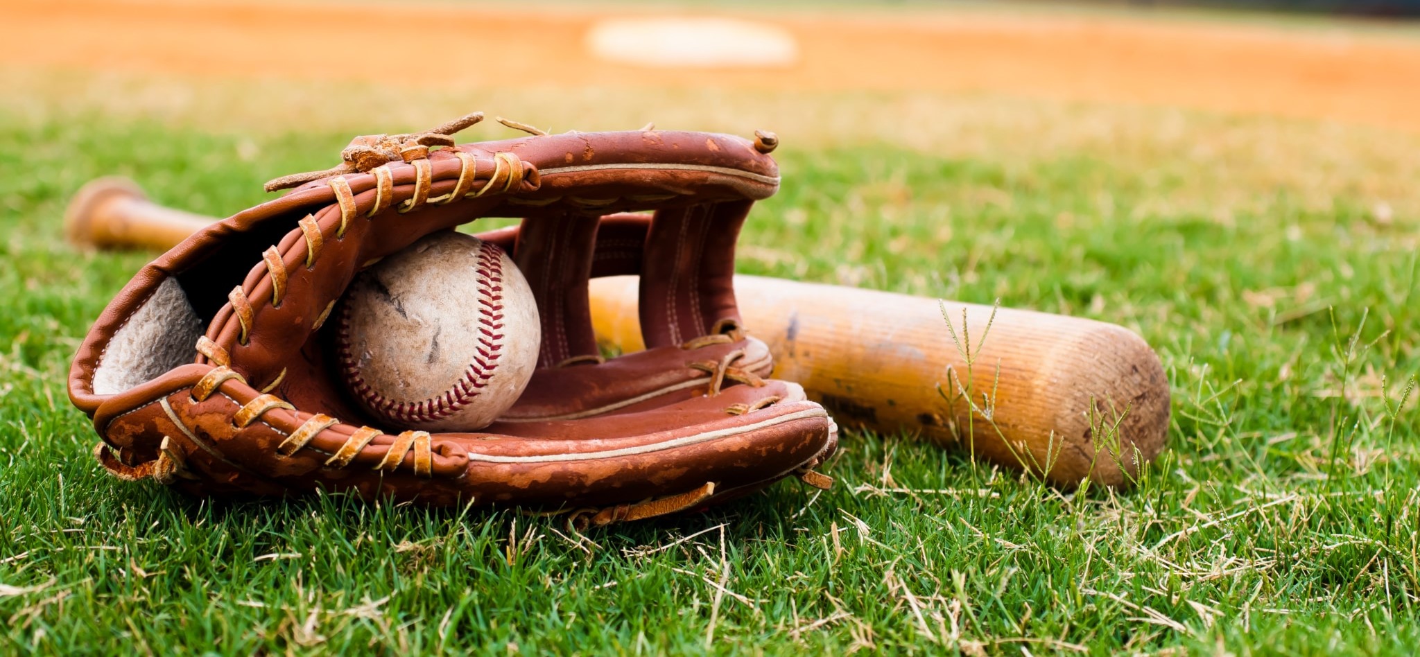 Pro-baseball.cz foto 2