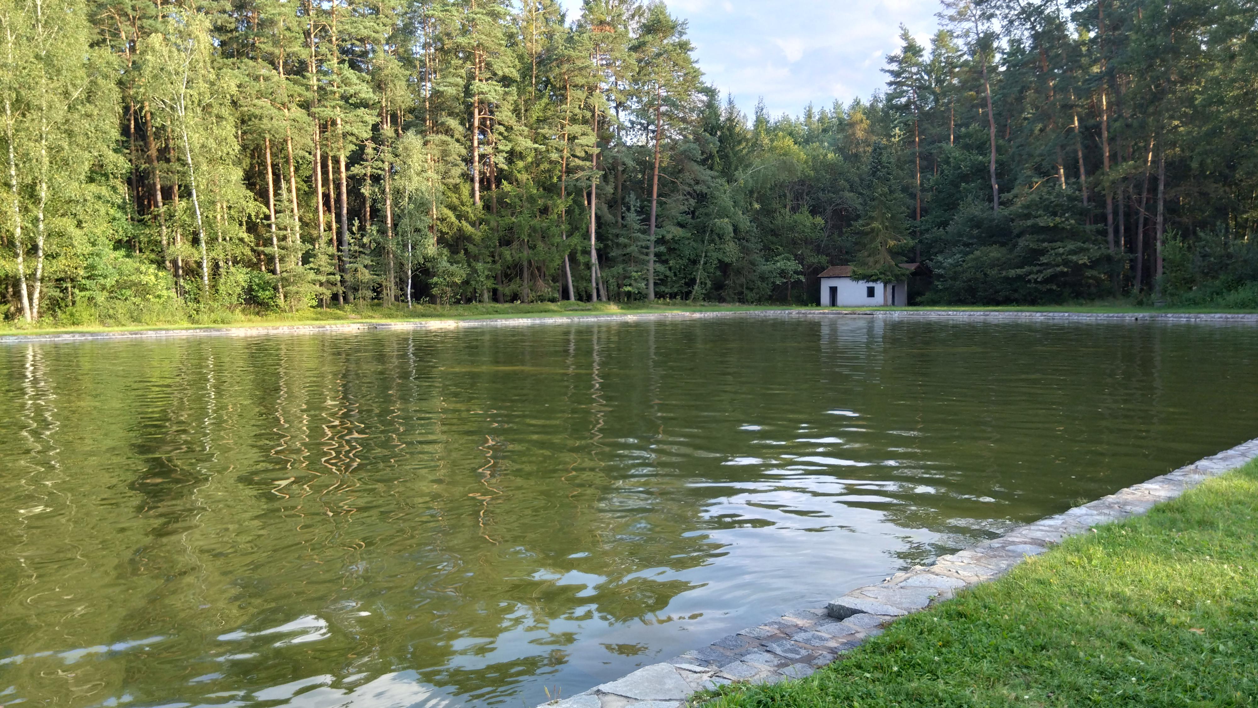 Koupaliště Borkovice