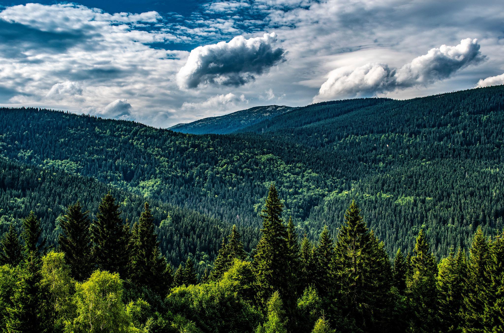 Horský hotel Hromovka foto 5