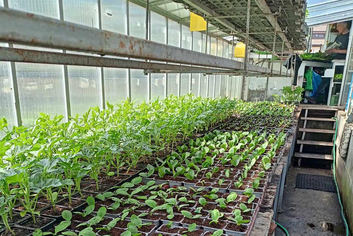 Zahradnictví Petřík