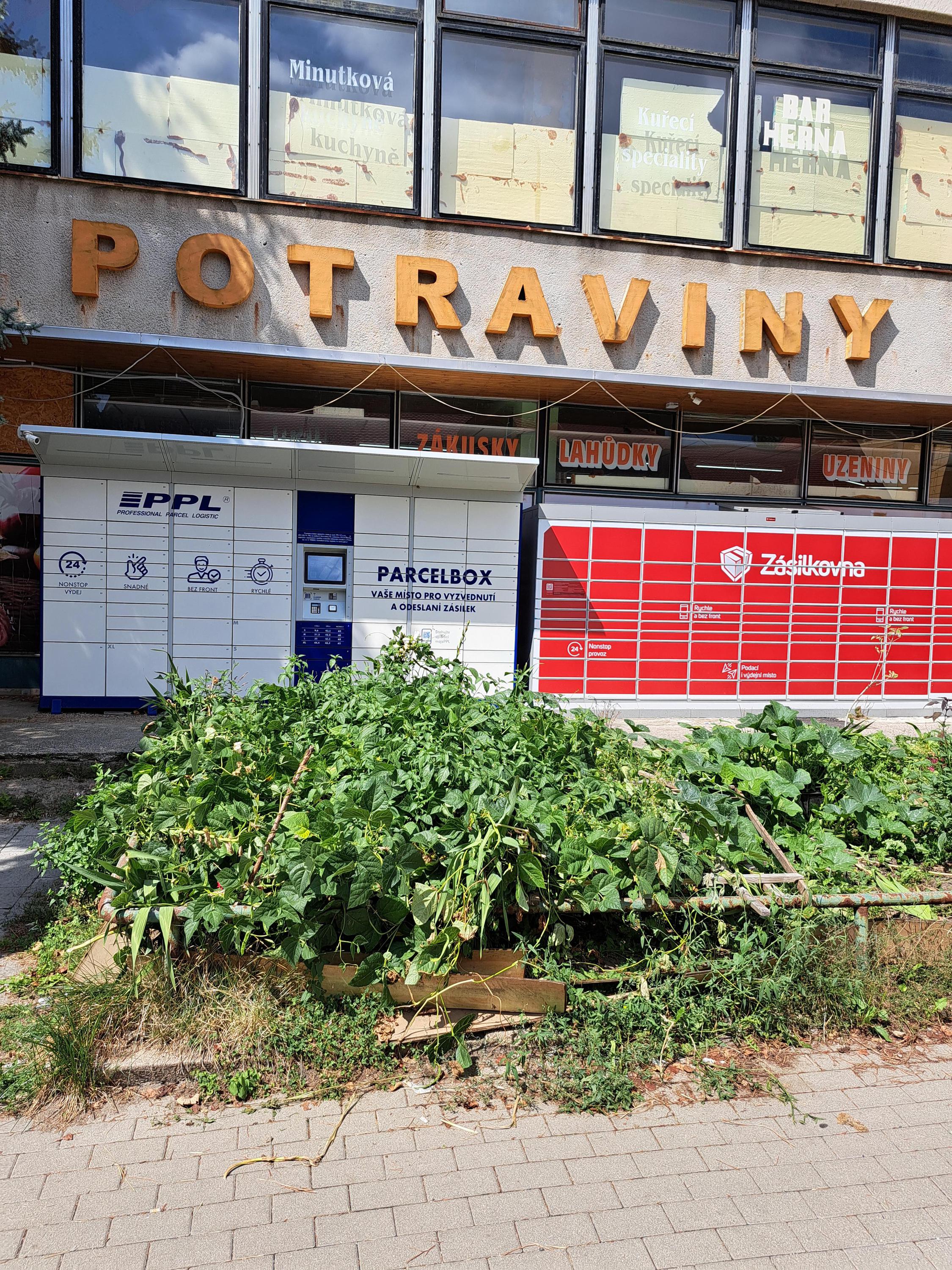 Z-BOX foto 2