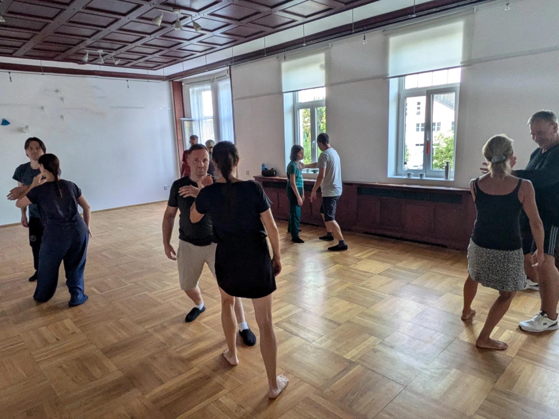 Nei Gong - Taichi Chuan a Bagua Zhang foto 3