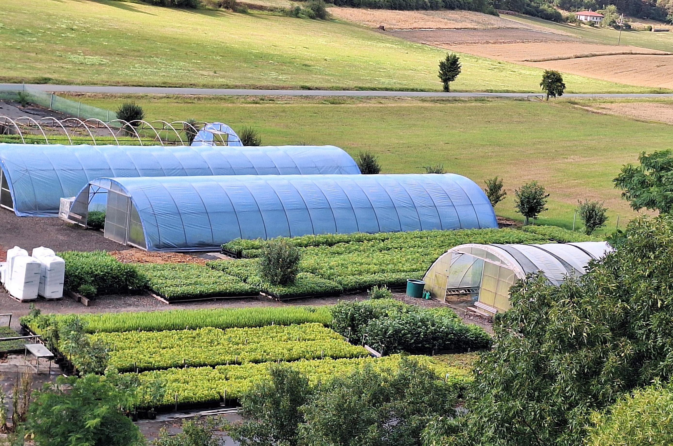 LESYPRASKOLESY, s.r.o.