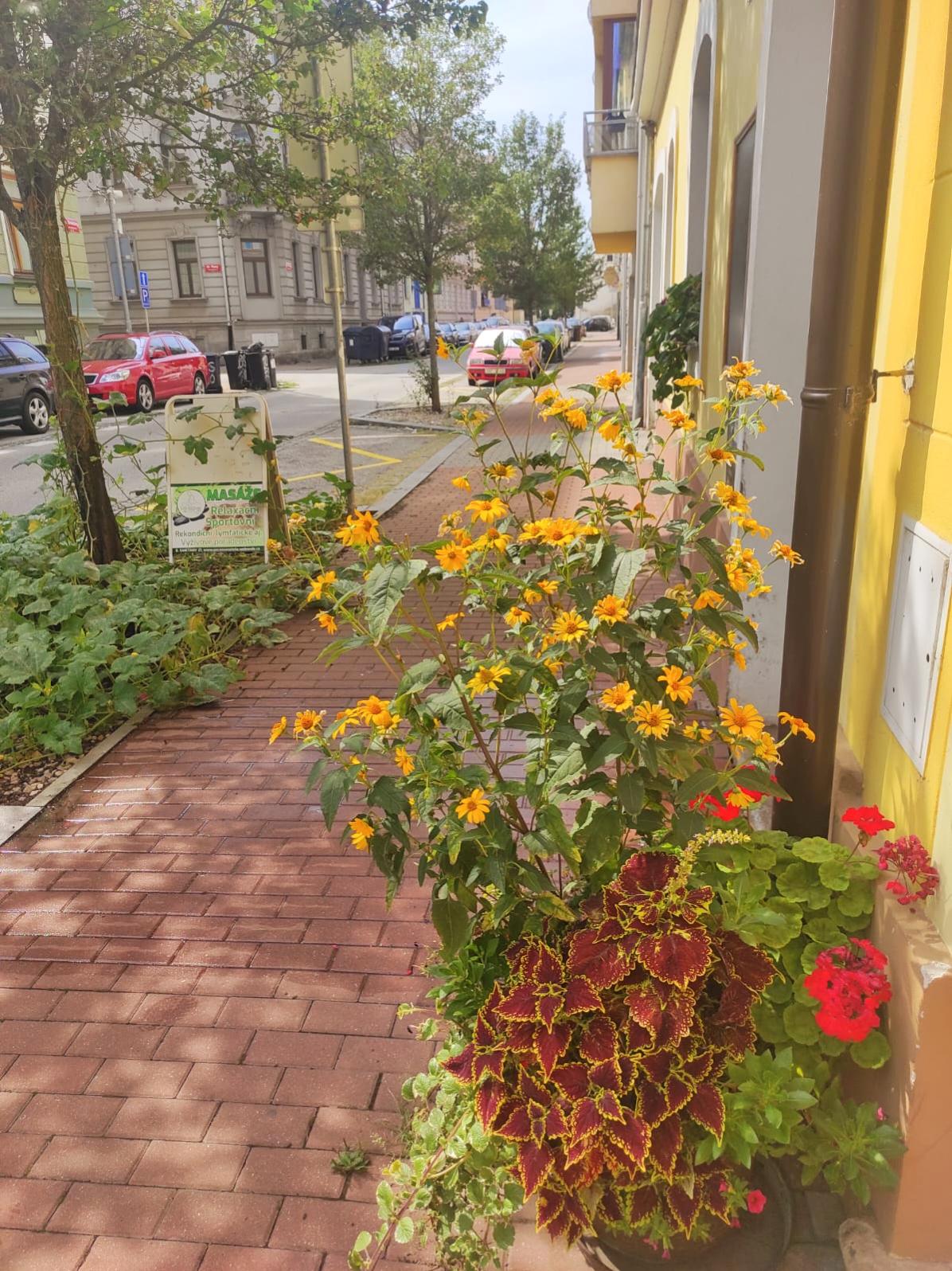Masáže Veronika Candrová foto 6