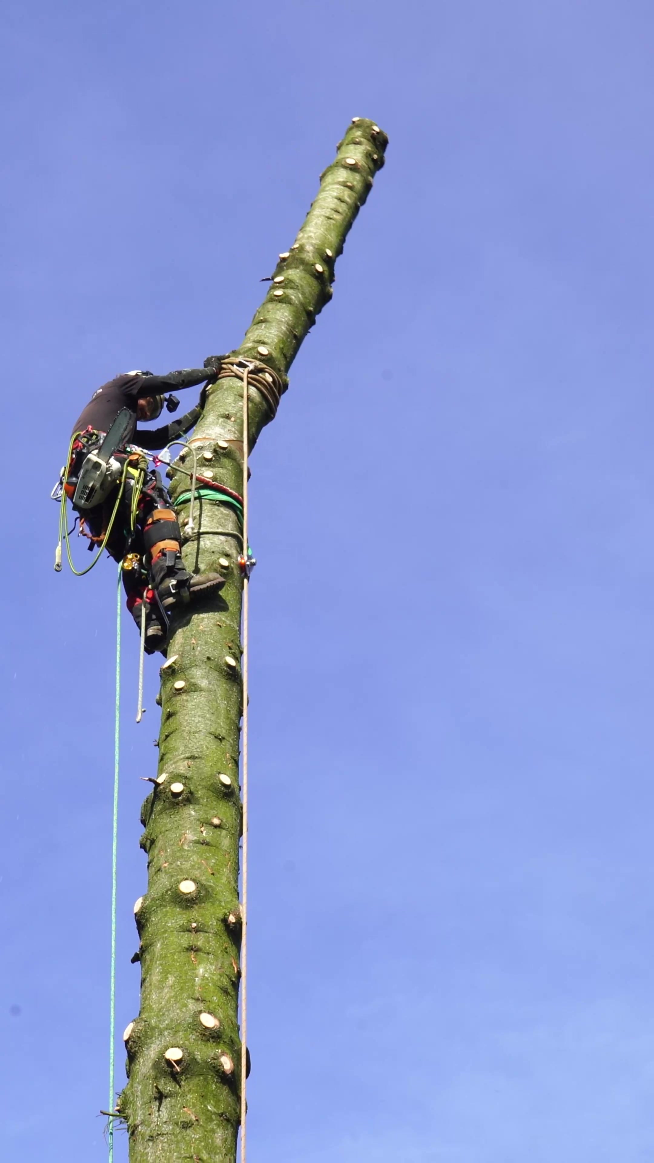 KaposGreen foto 1 (náhled videa)