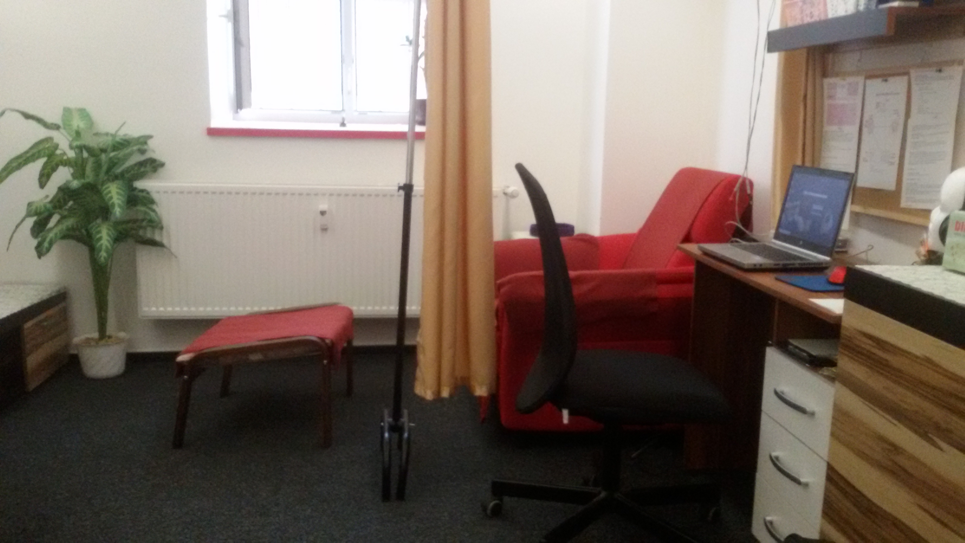 BIOrezonanční DETOXikace foto 4